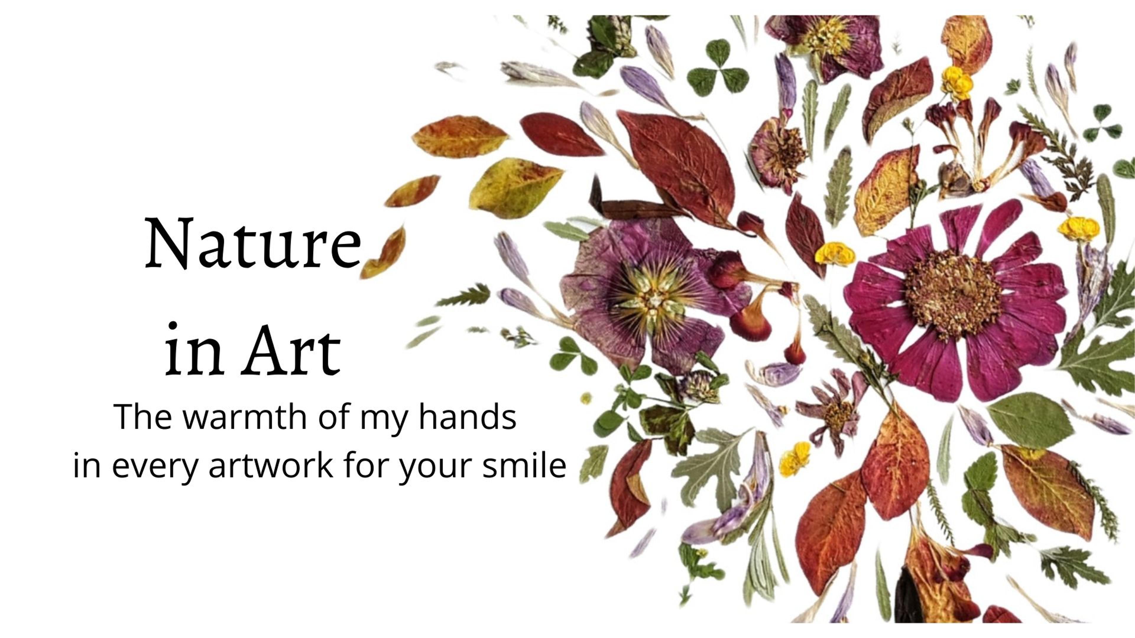 Shop cover image
