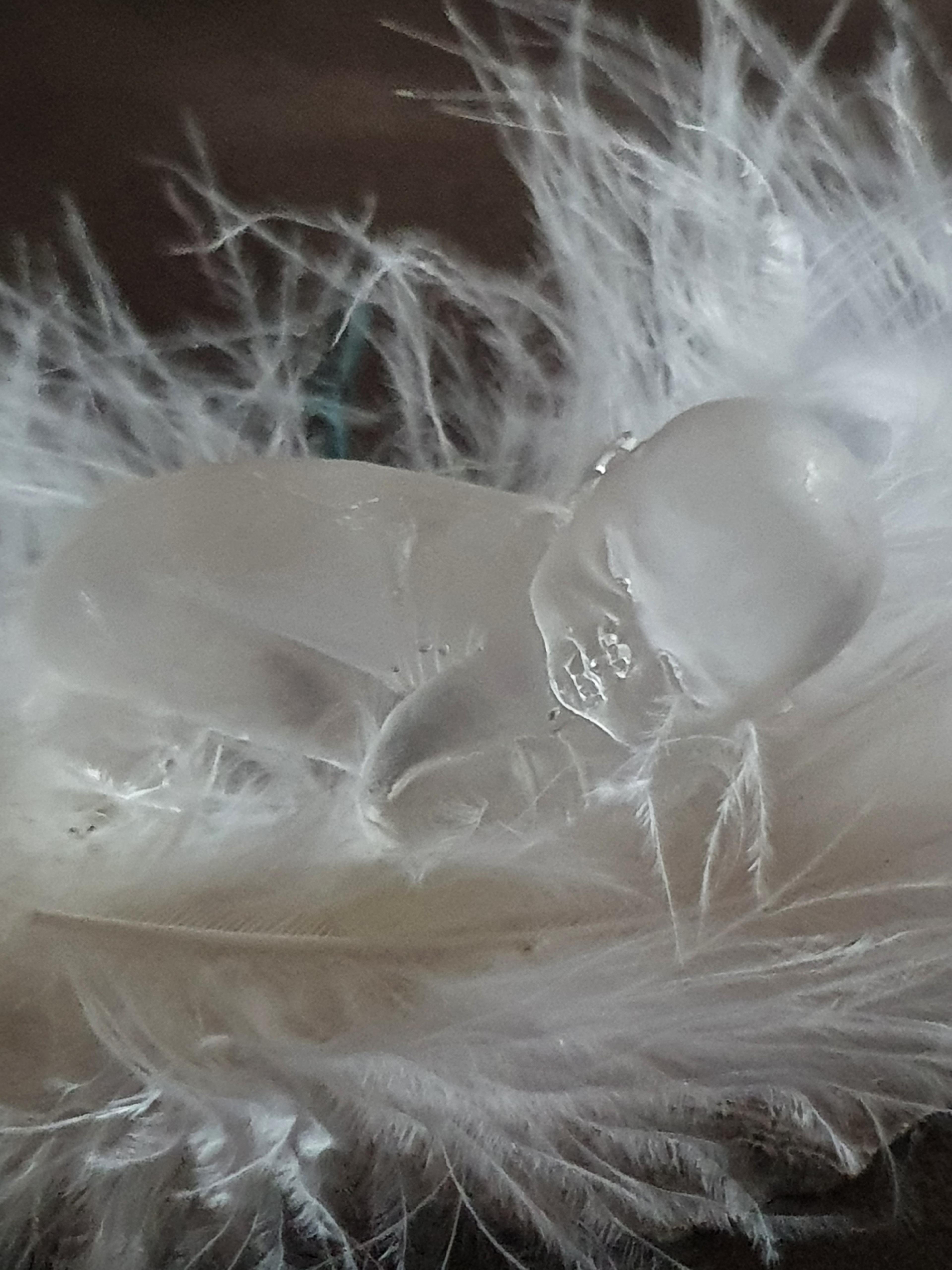 Shop cover image
