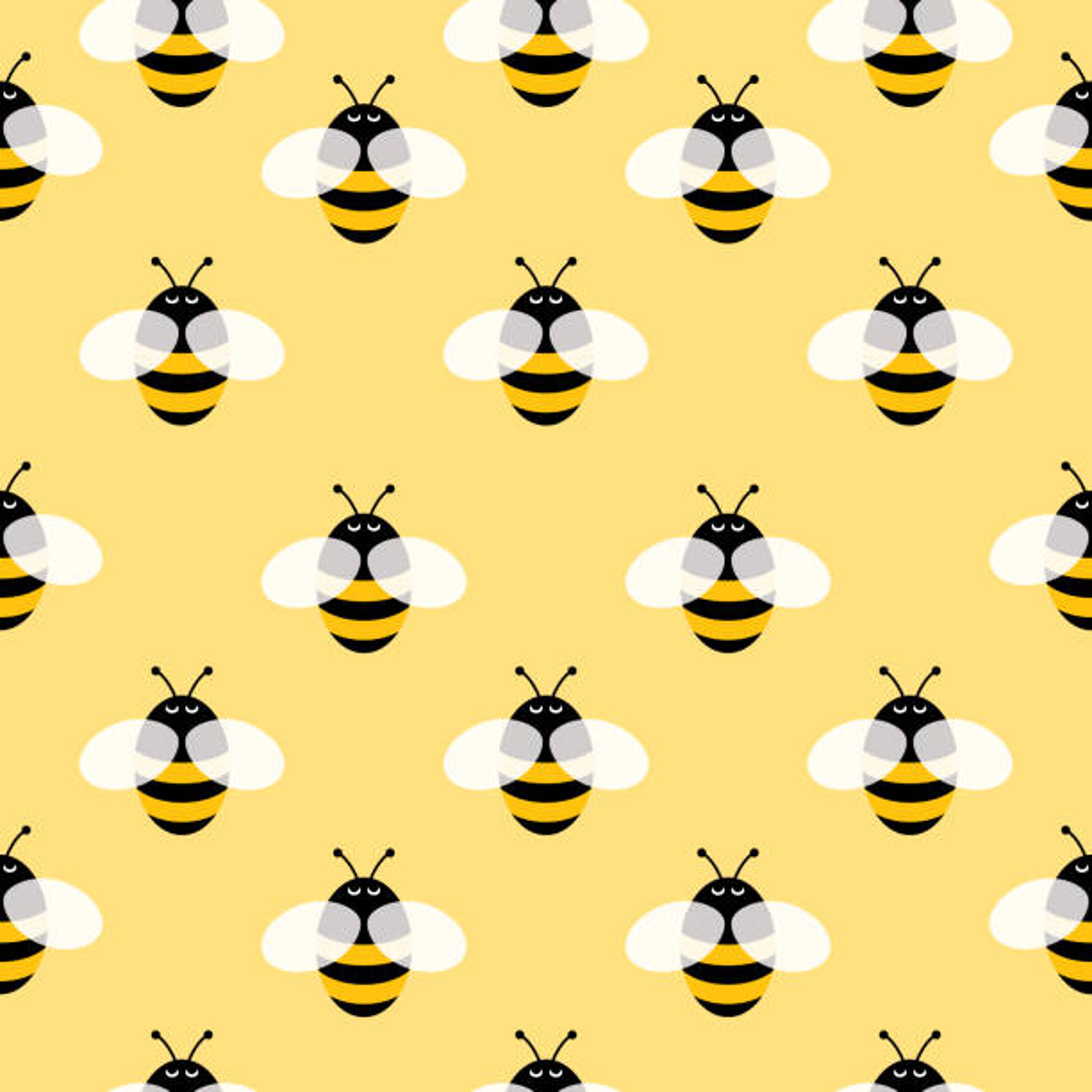 Shop cover image