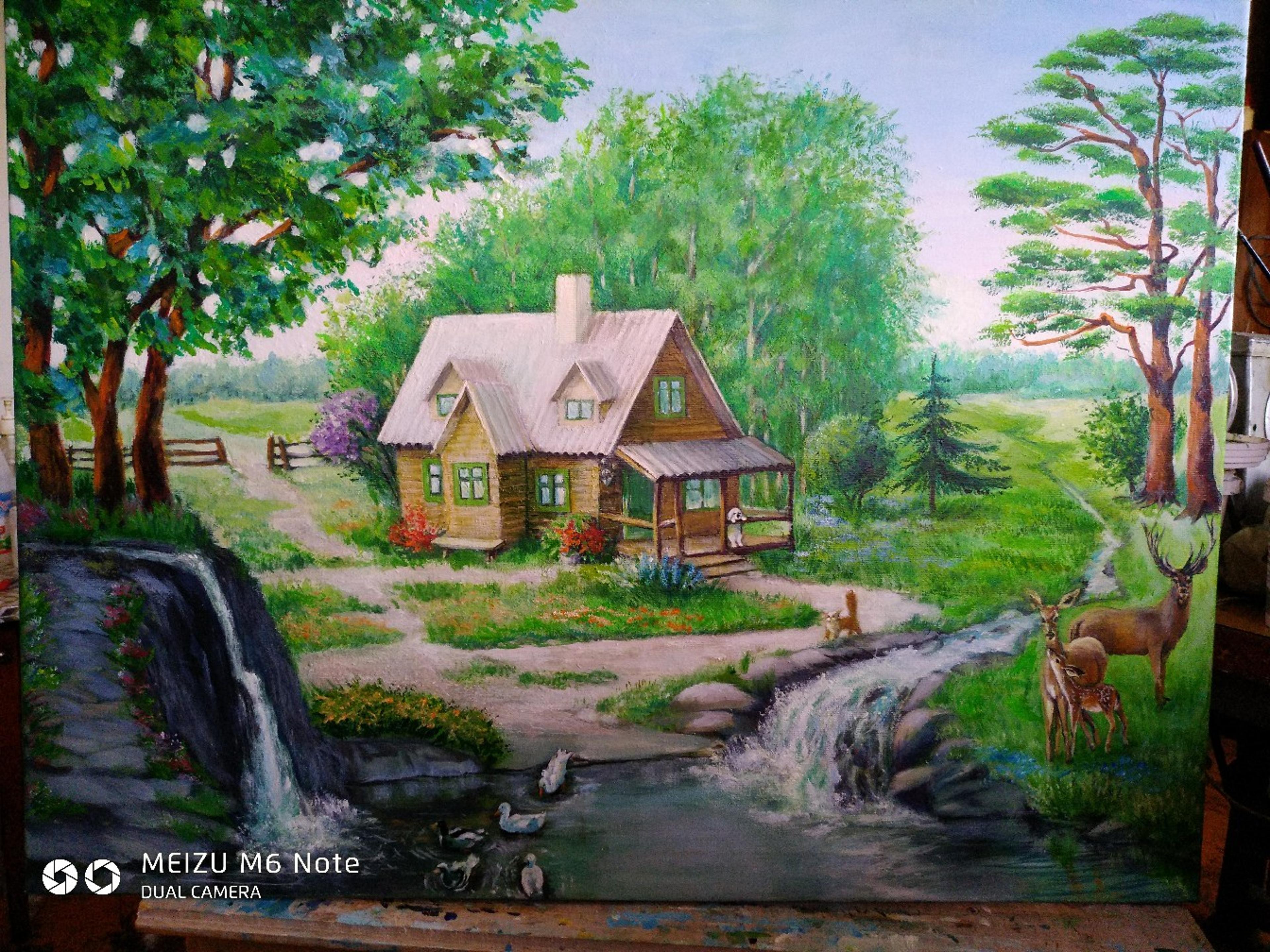 Shop cover image