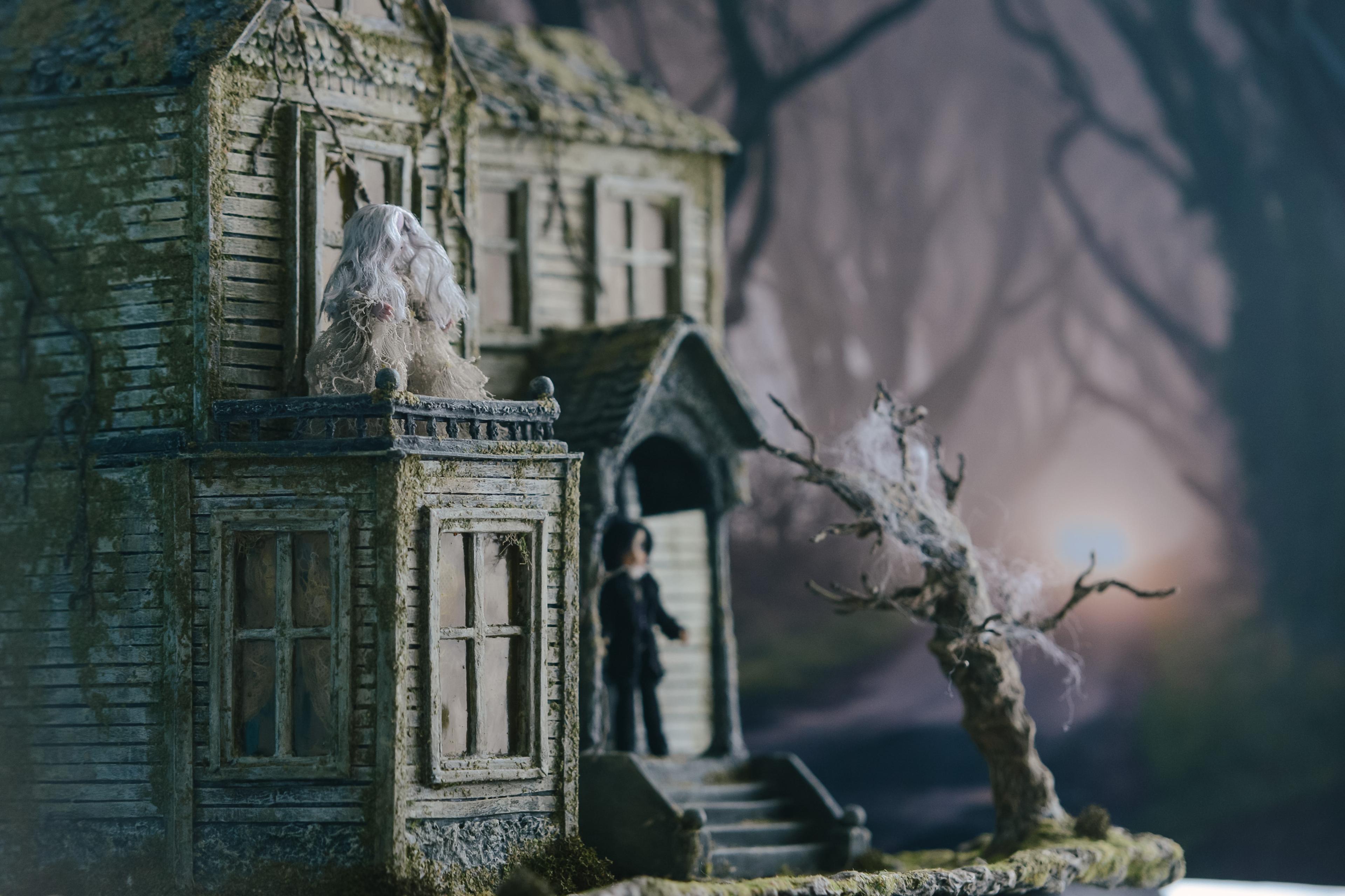 Shop cover image