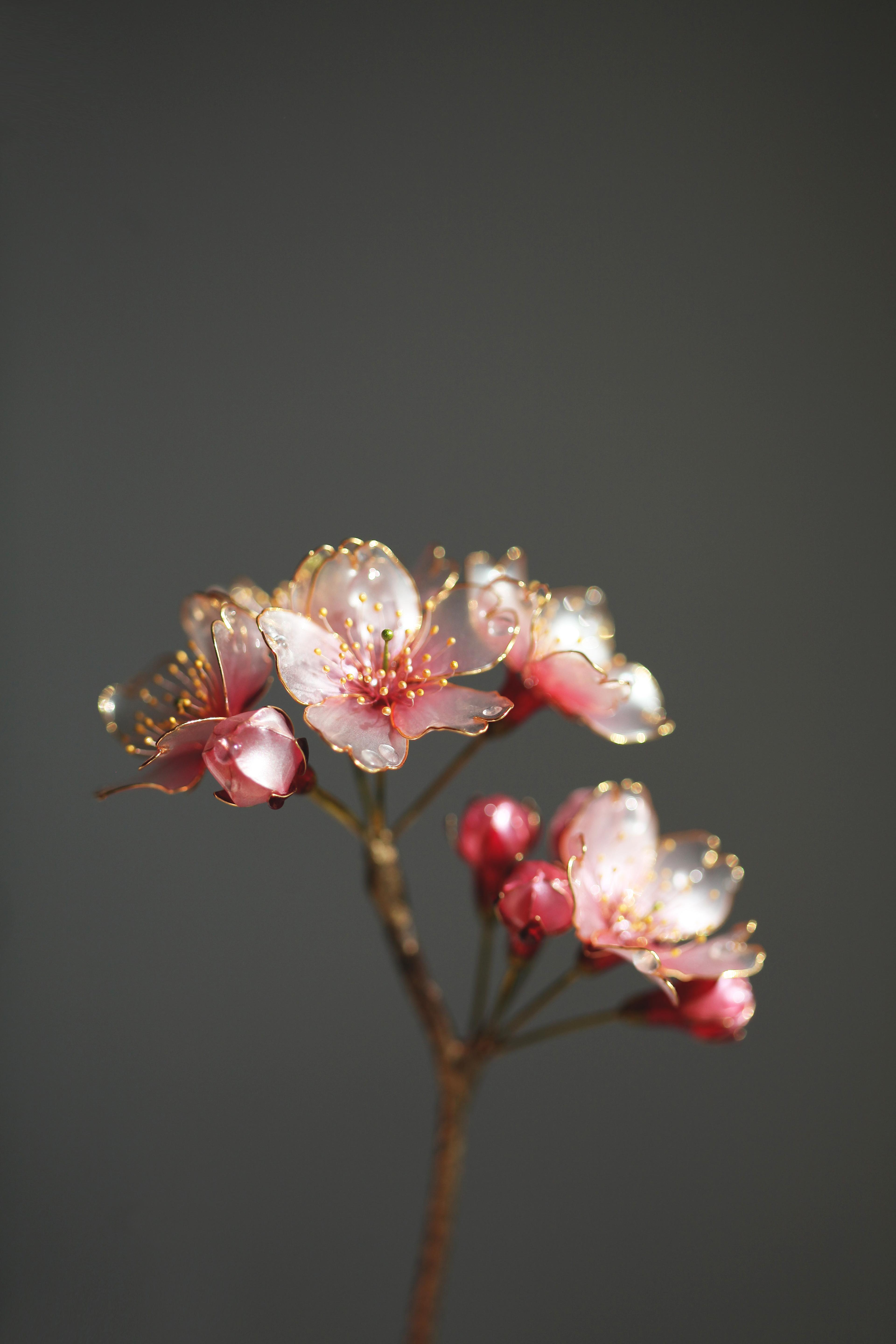 Shop cover image
