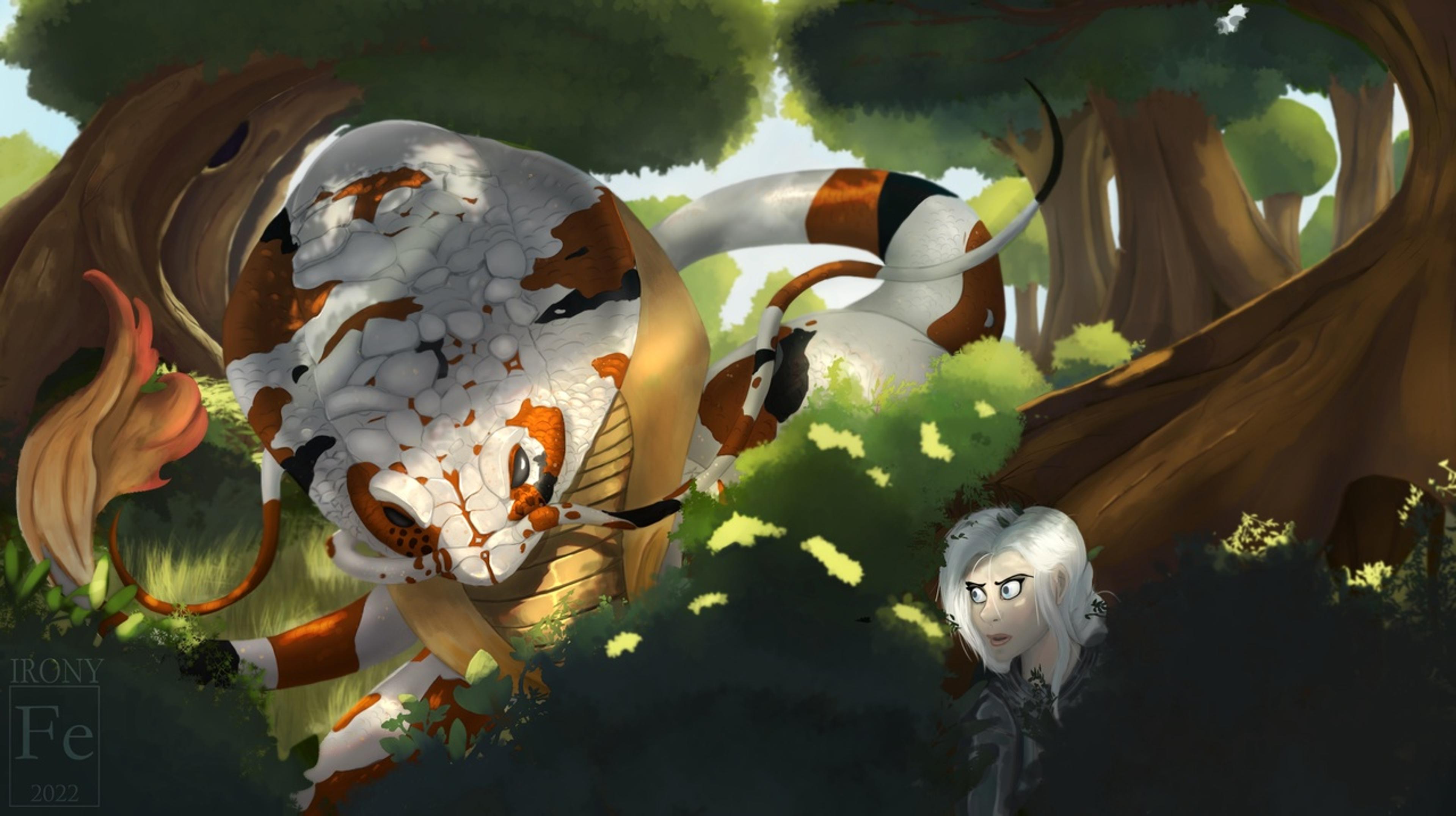 Shop cover image