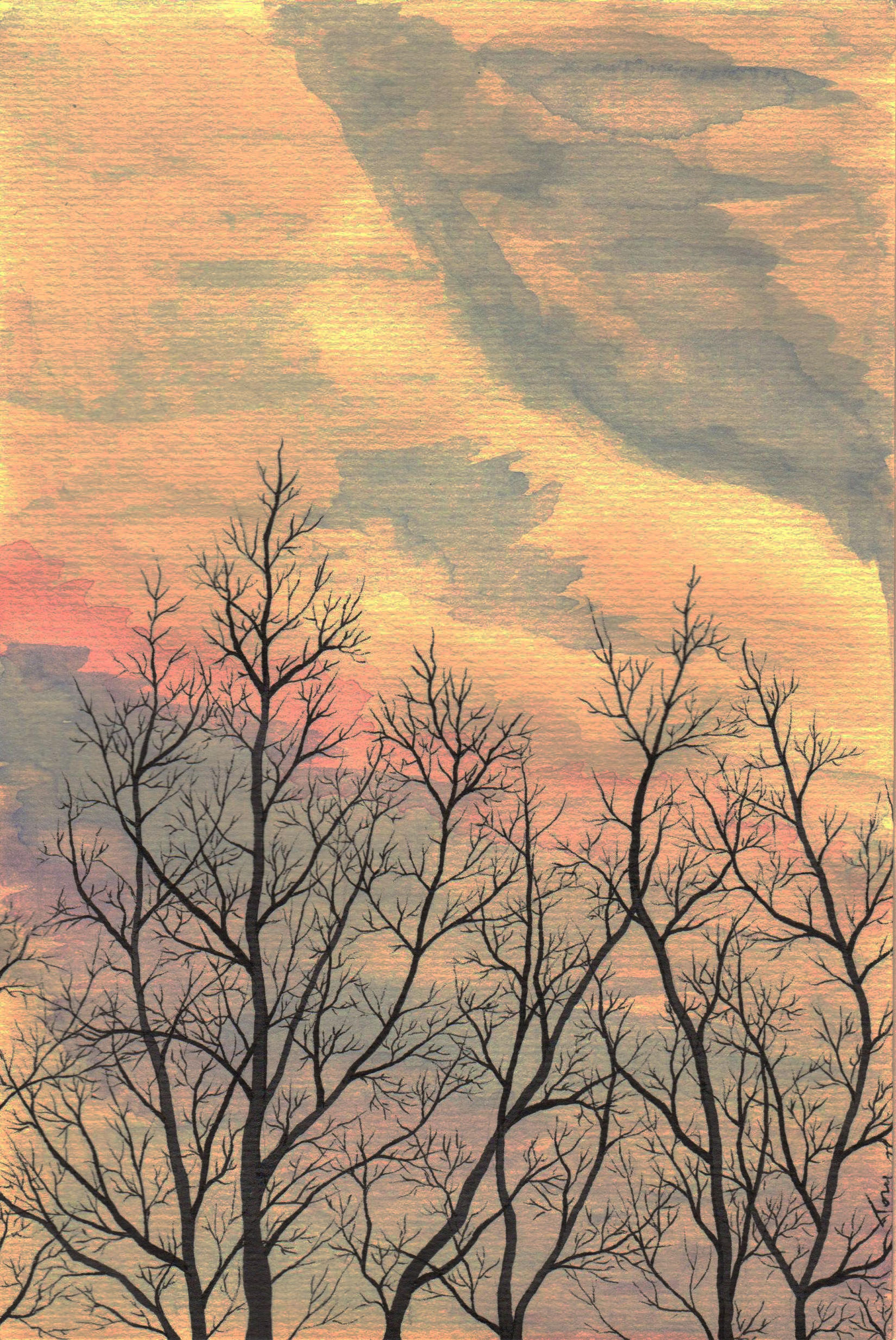 Shop cover image