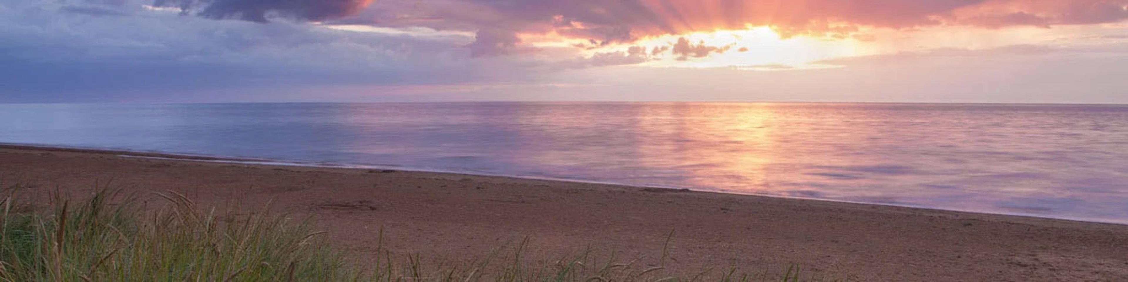 Shop cover image