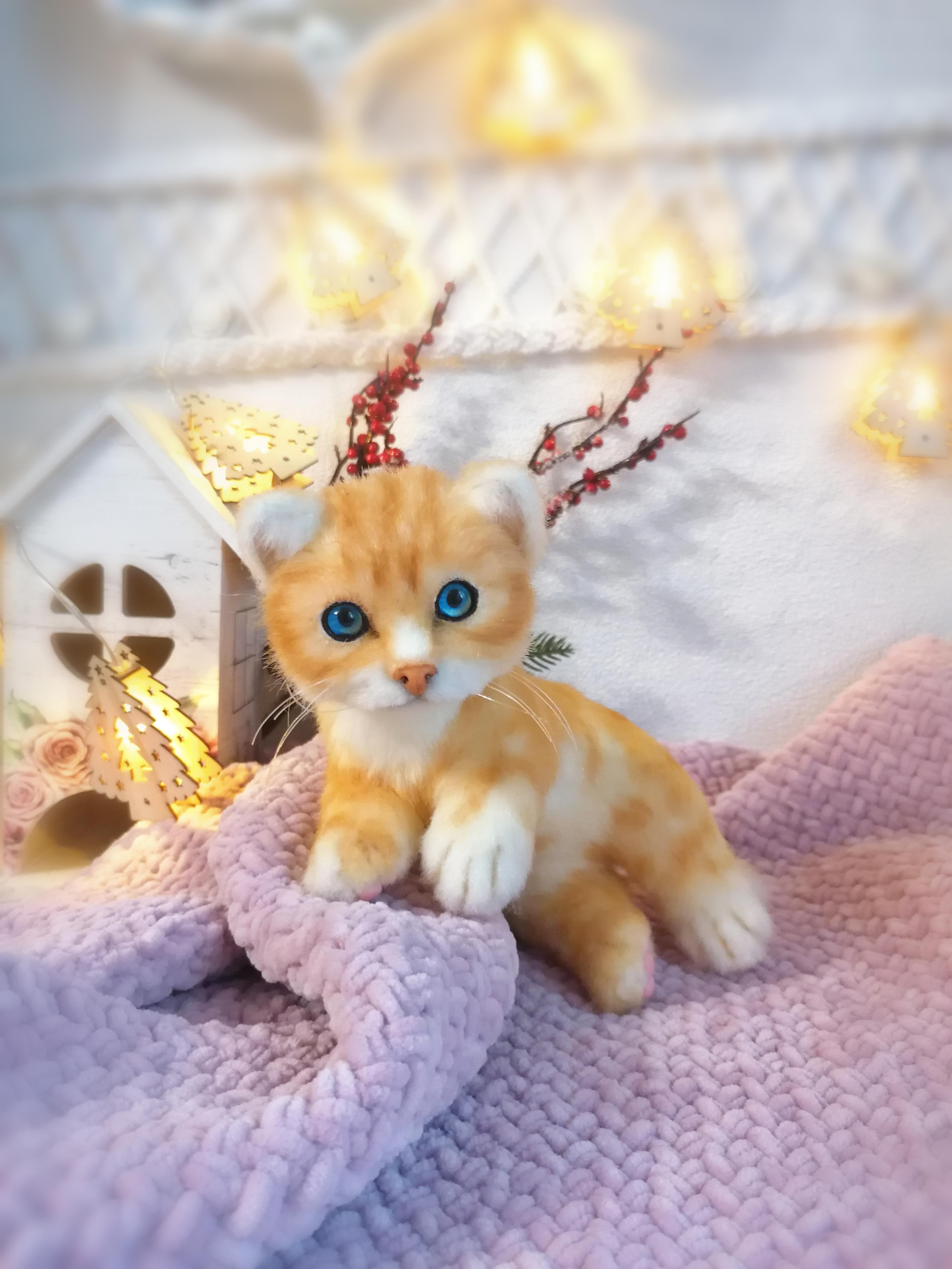 Shop cover image