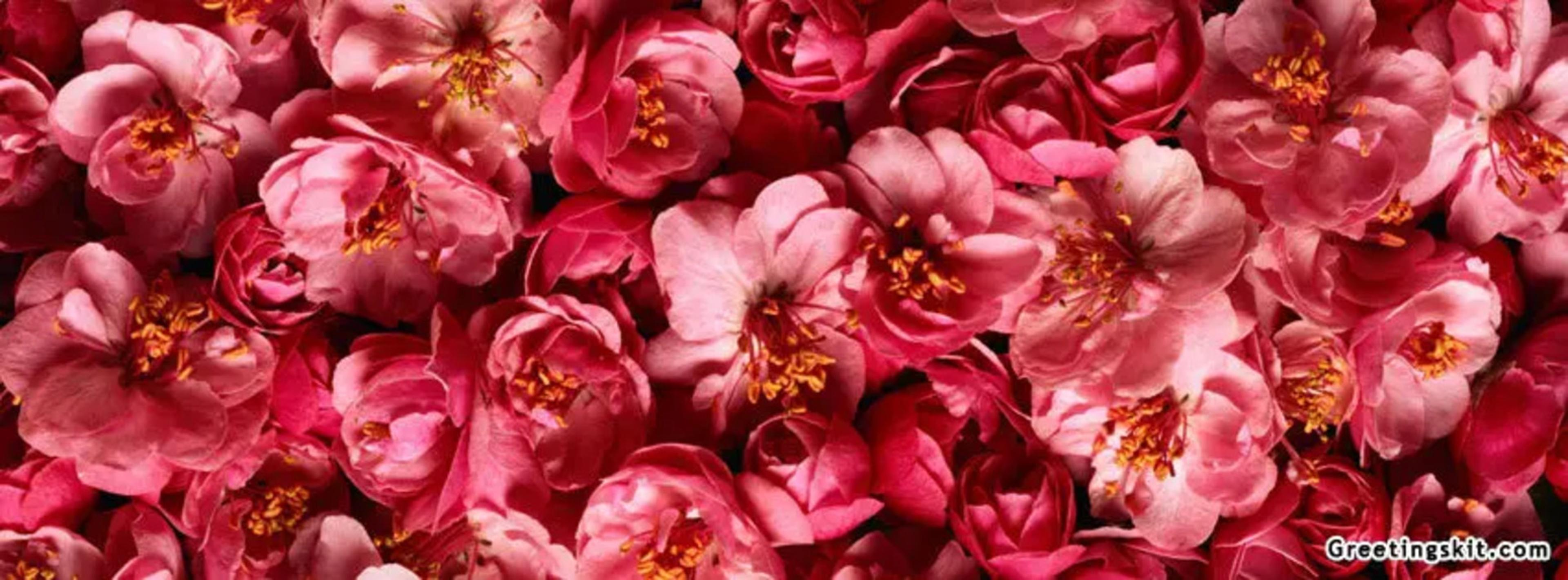 Shop cover image