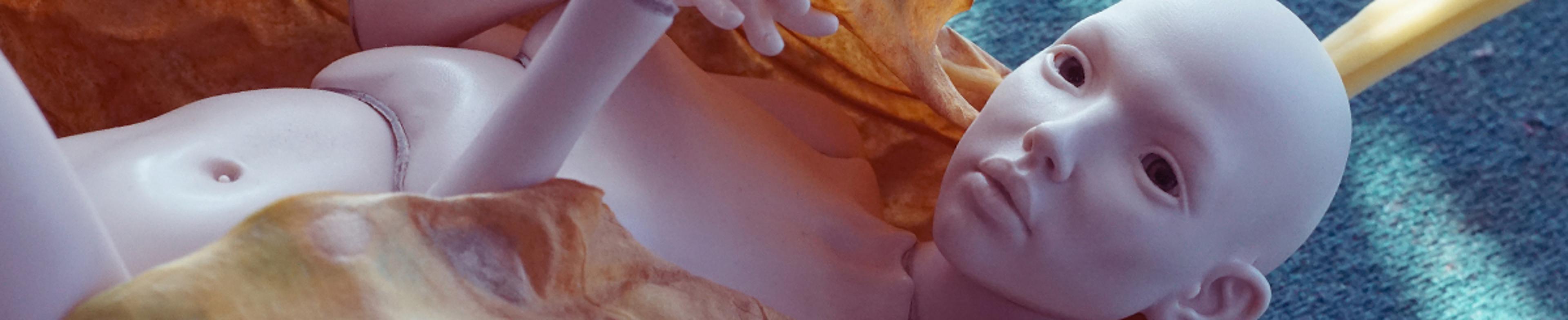 Shop cover image