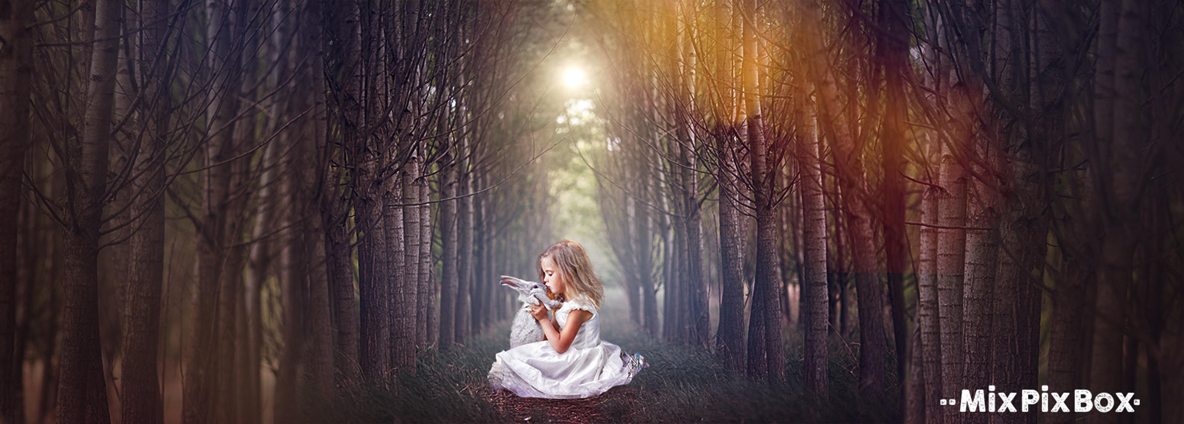 Shop cover image