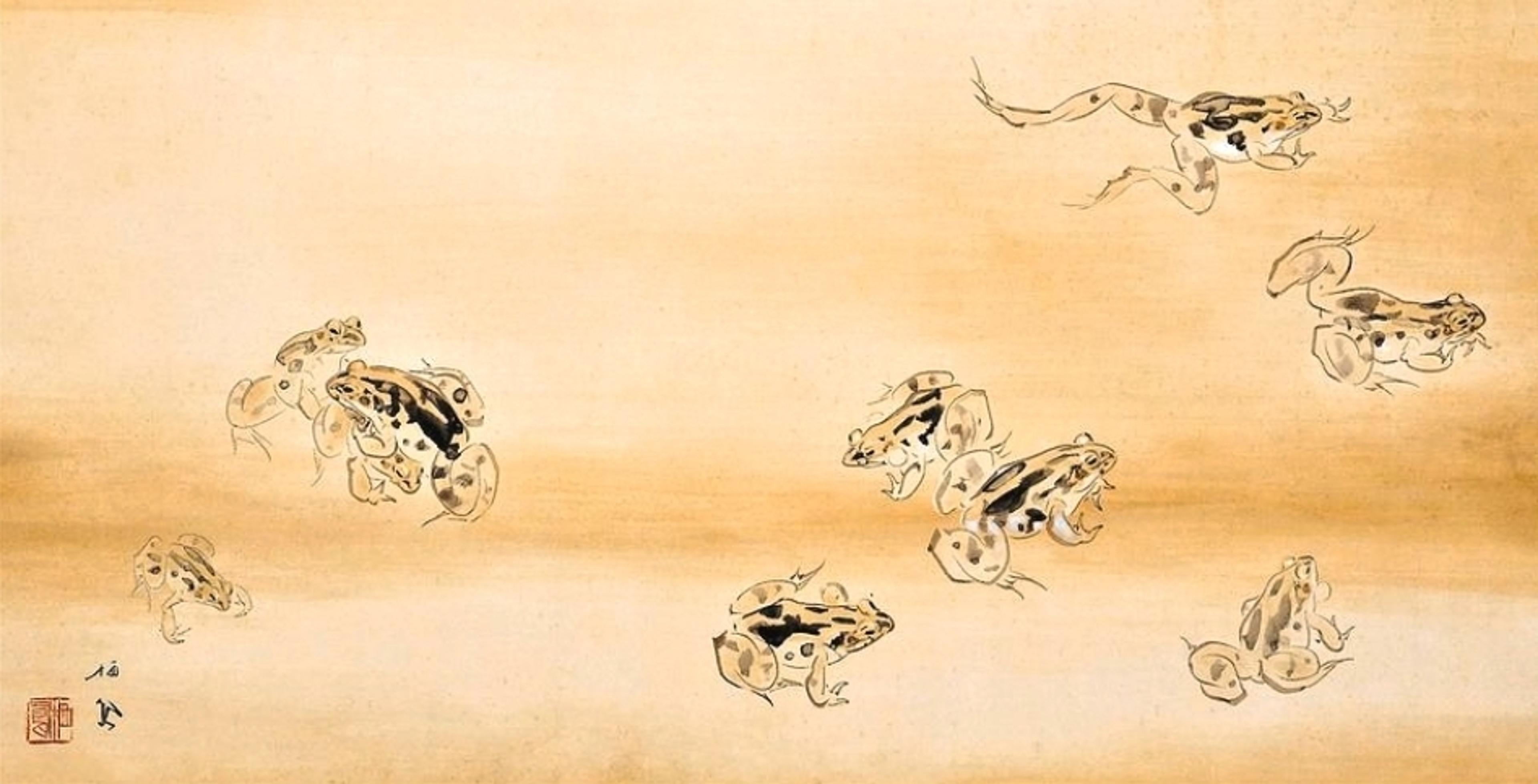 Shop cover image