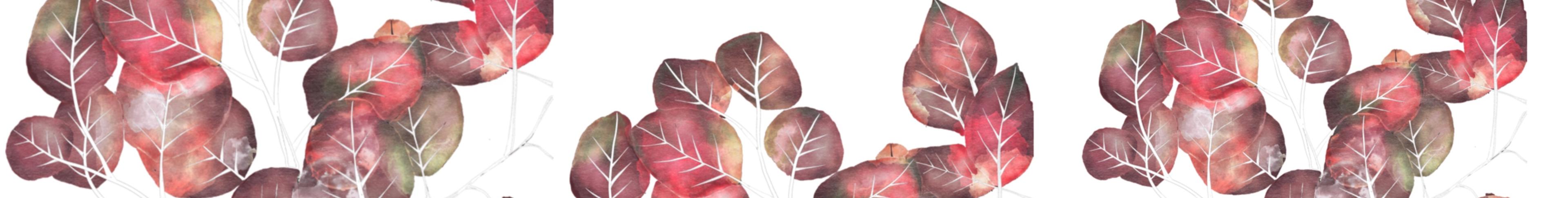 Shop cover image