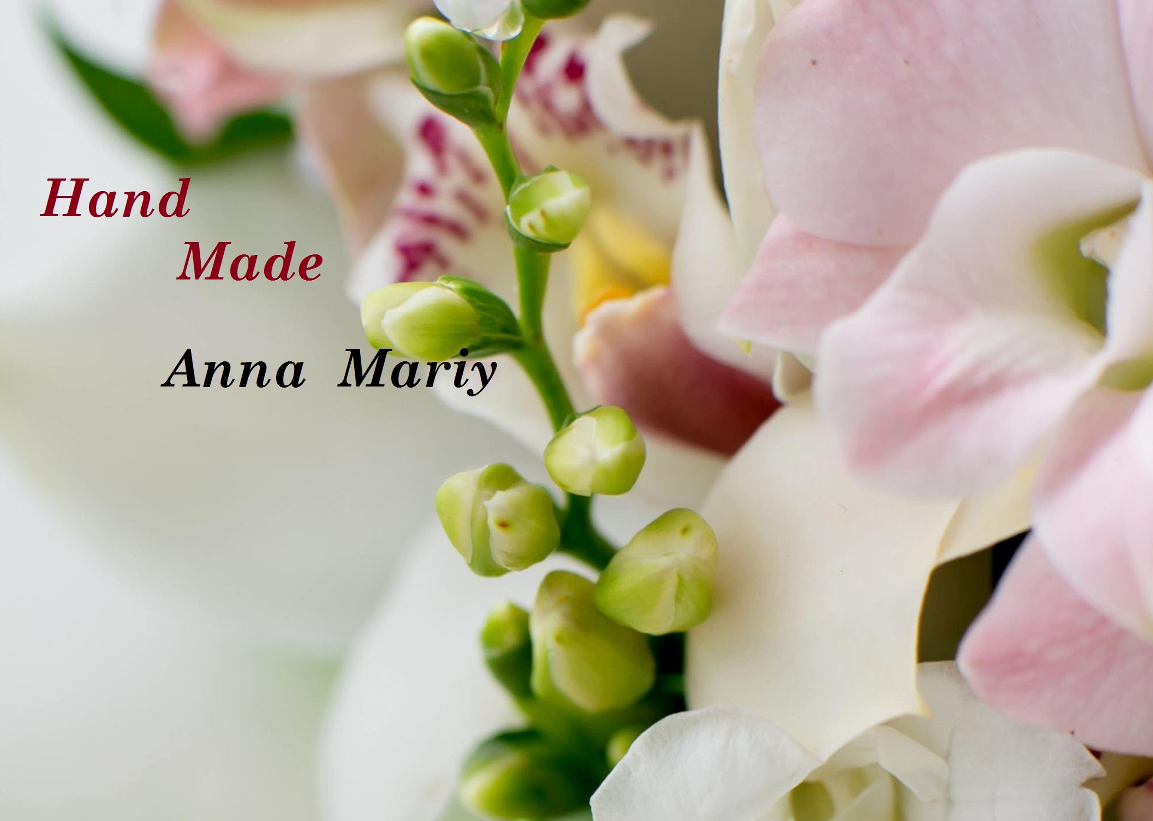 Shop cover image