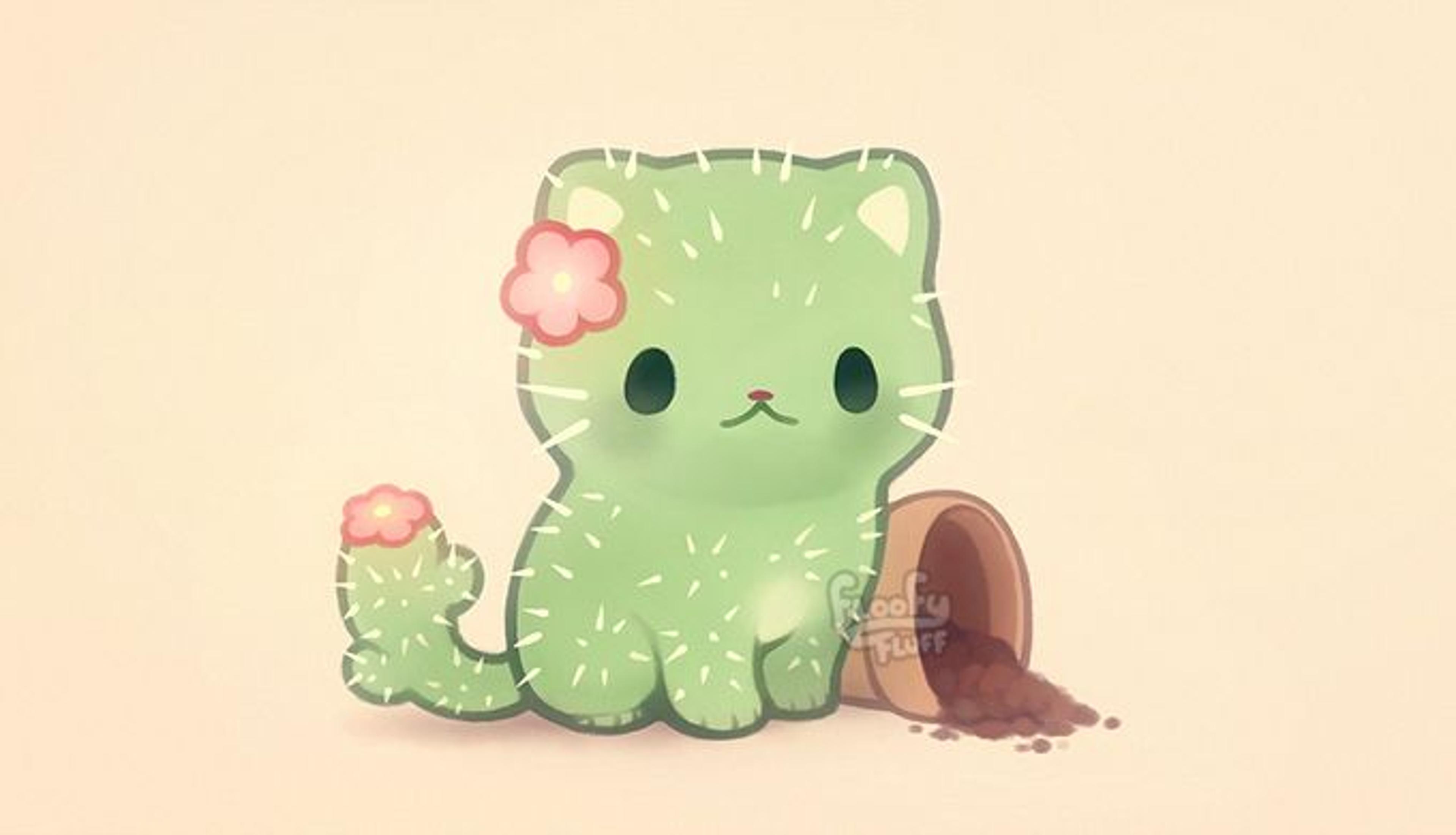 Shop cover image