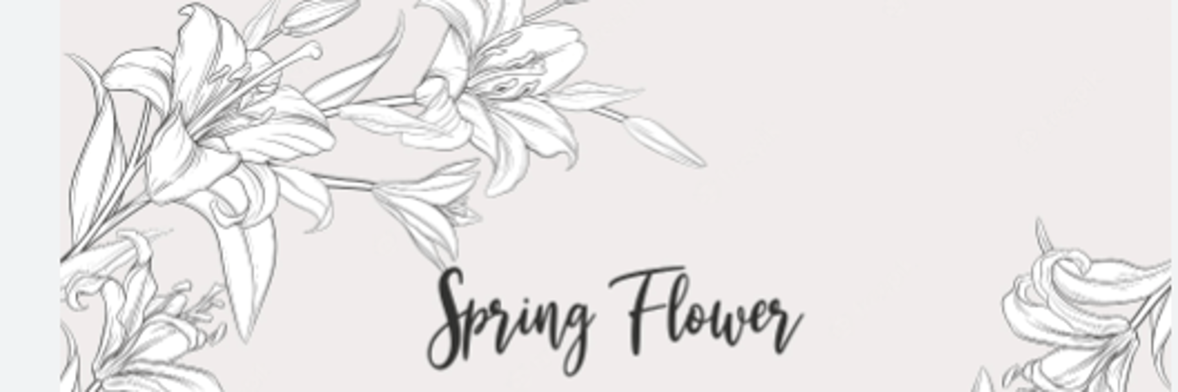 Shop cover image