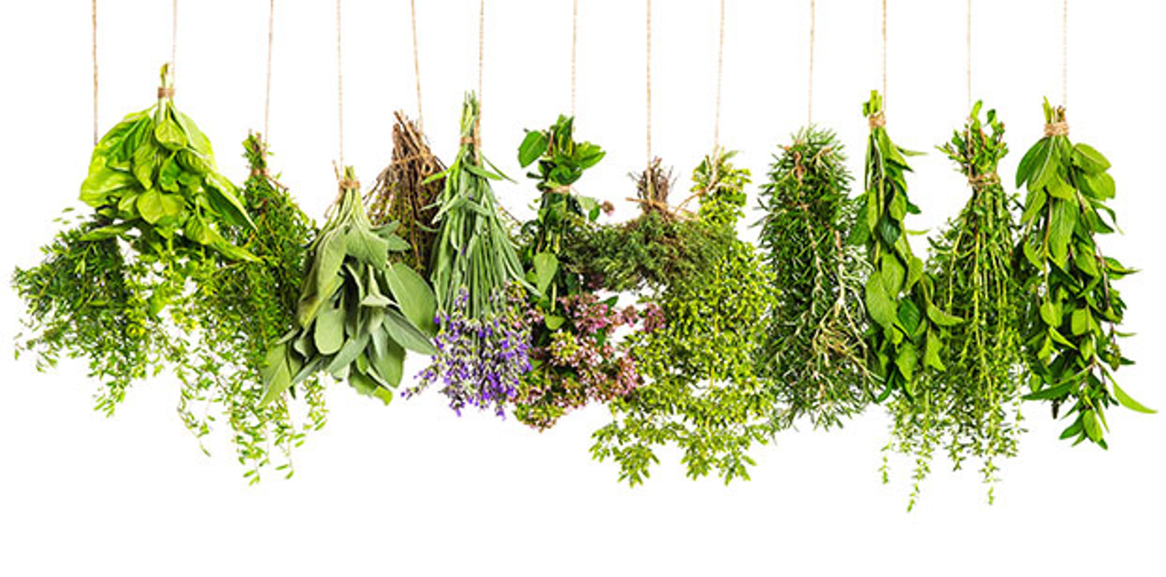 Shop cover image