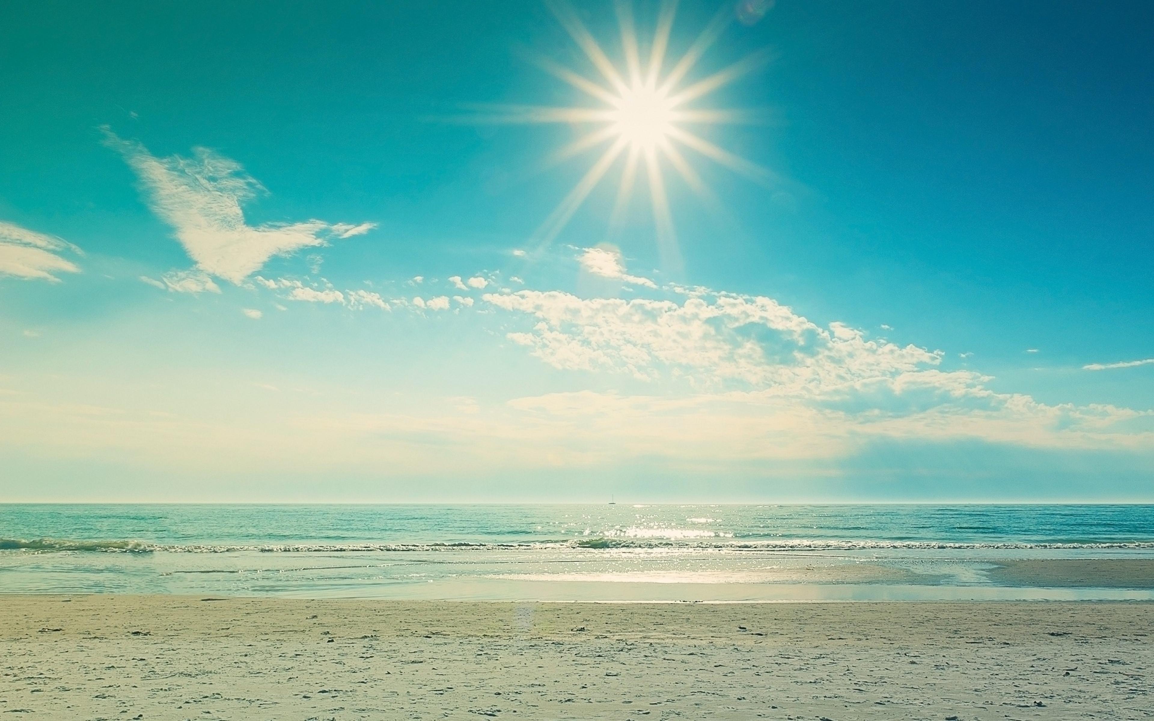 Shop cover image