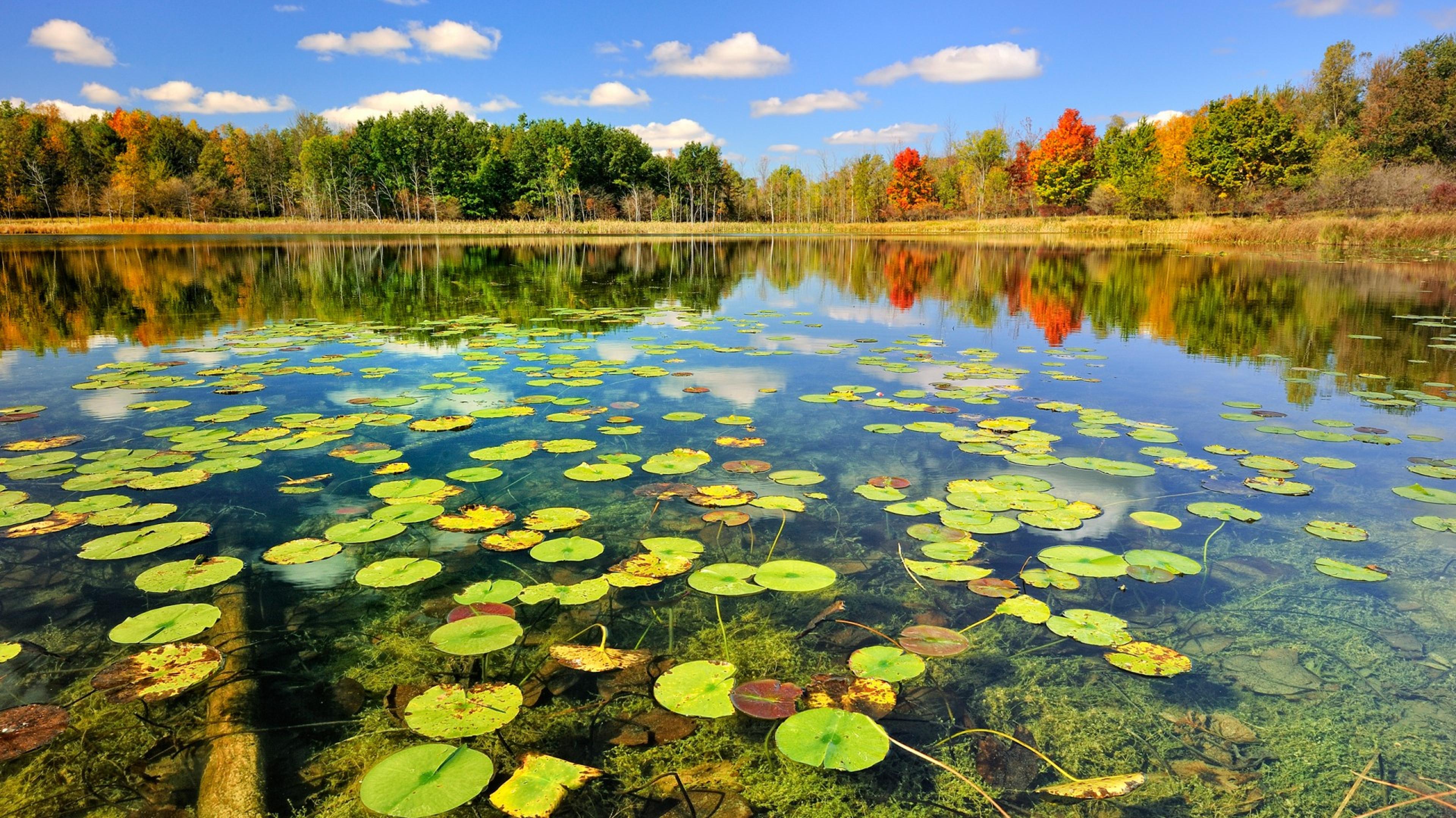 Shop cover image