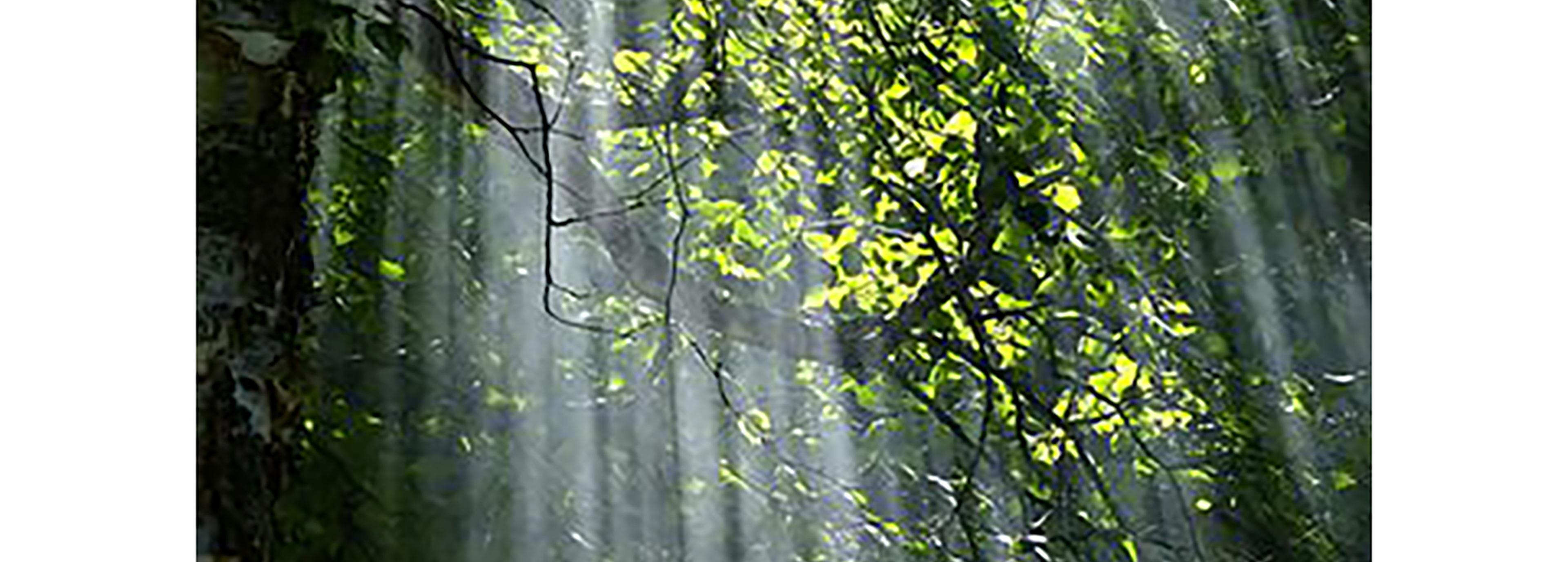 Shop cover image