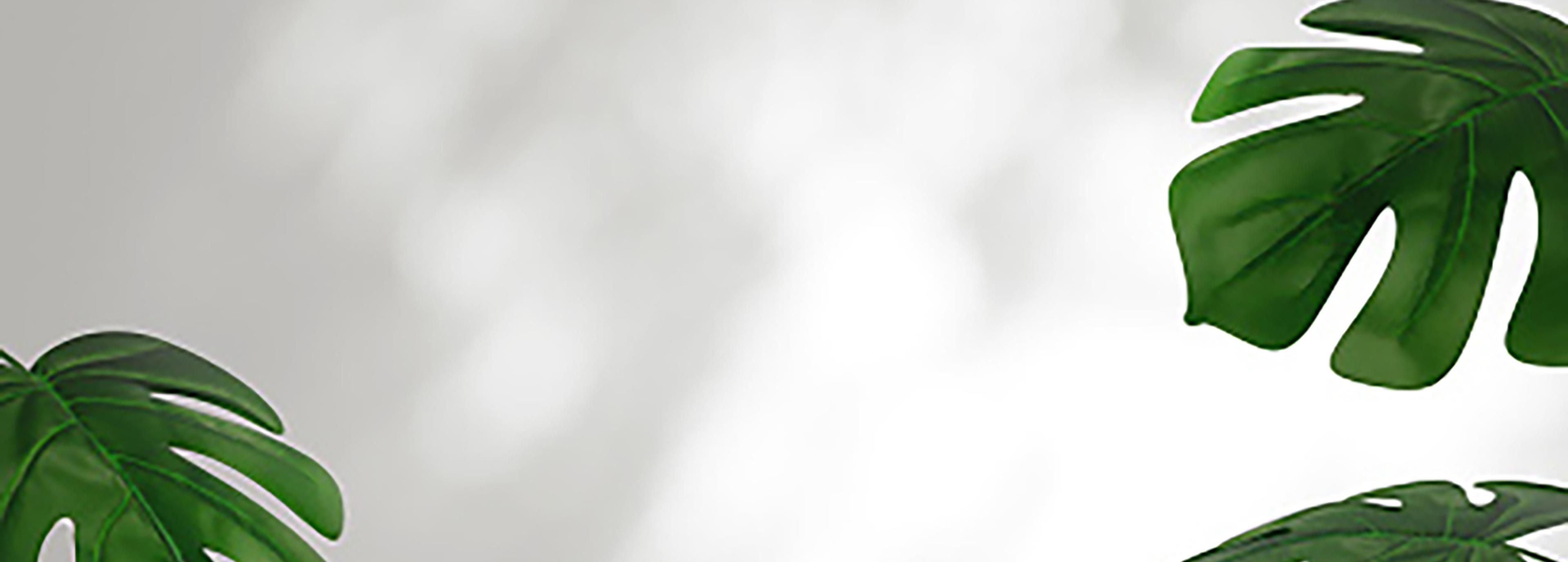 Shop cover image