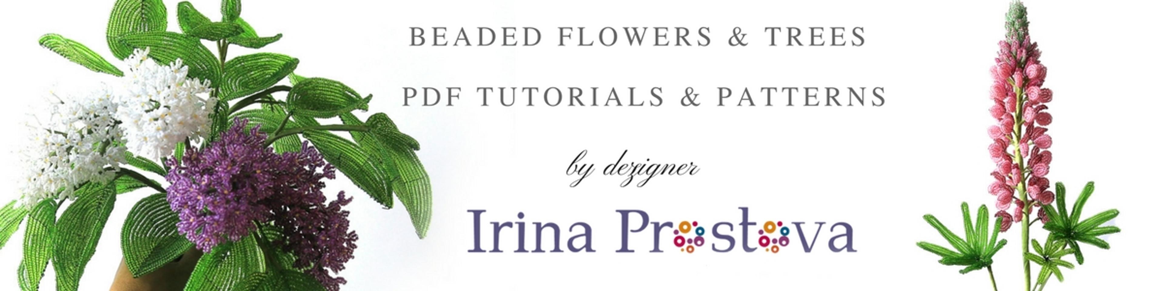 Shop cover image