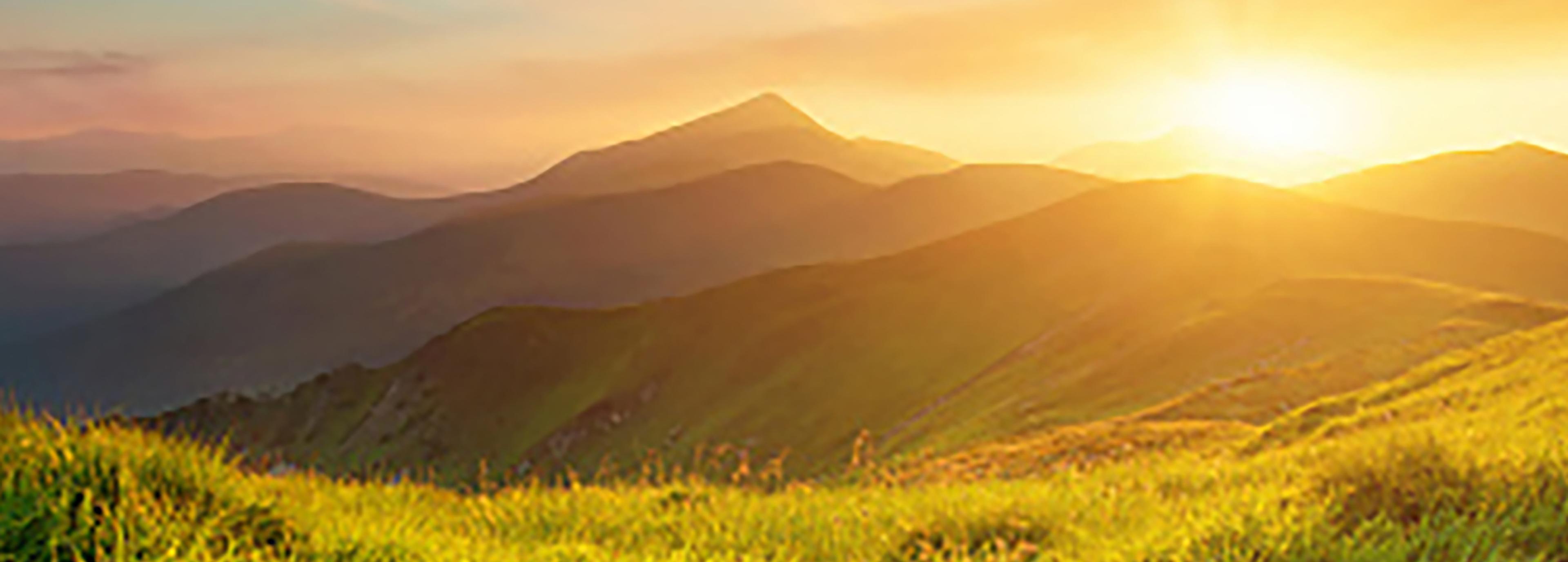 Shop cover image