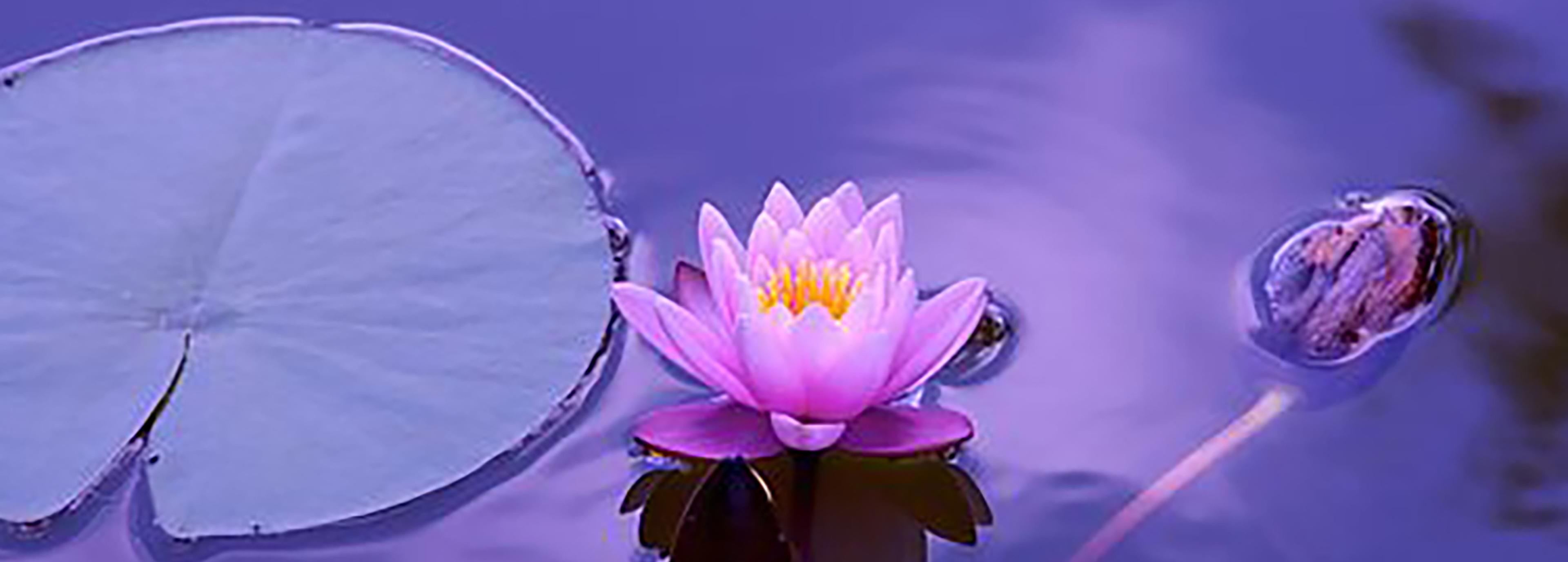 Shop cover image