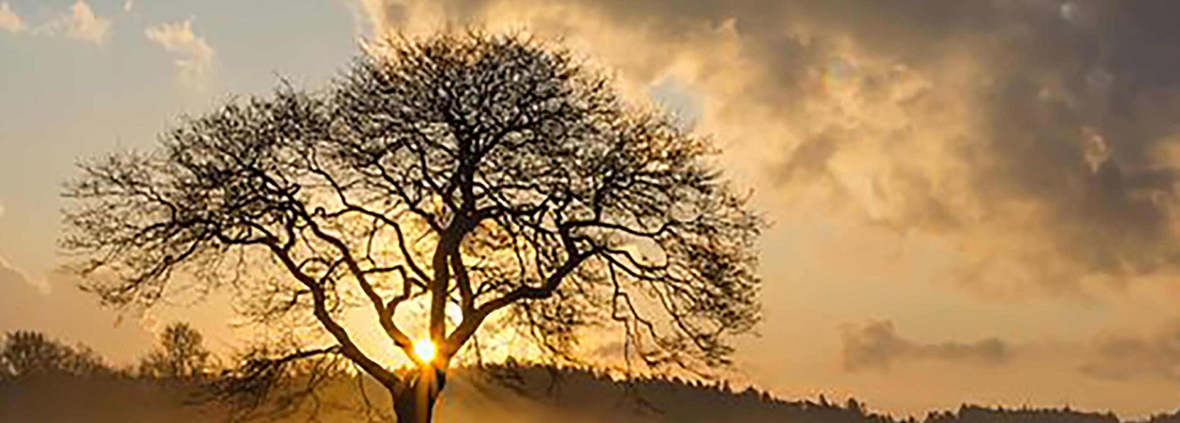 Shop cover image