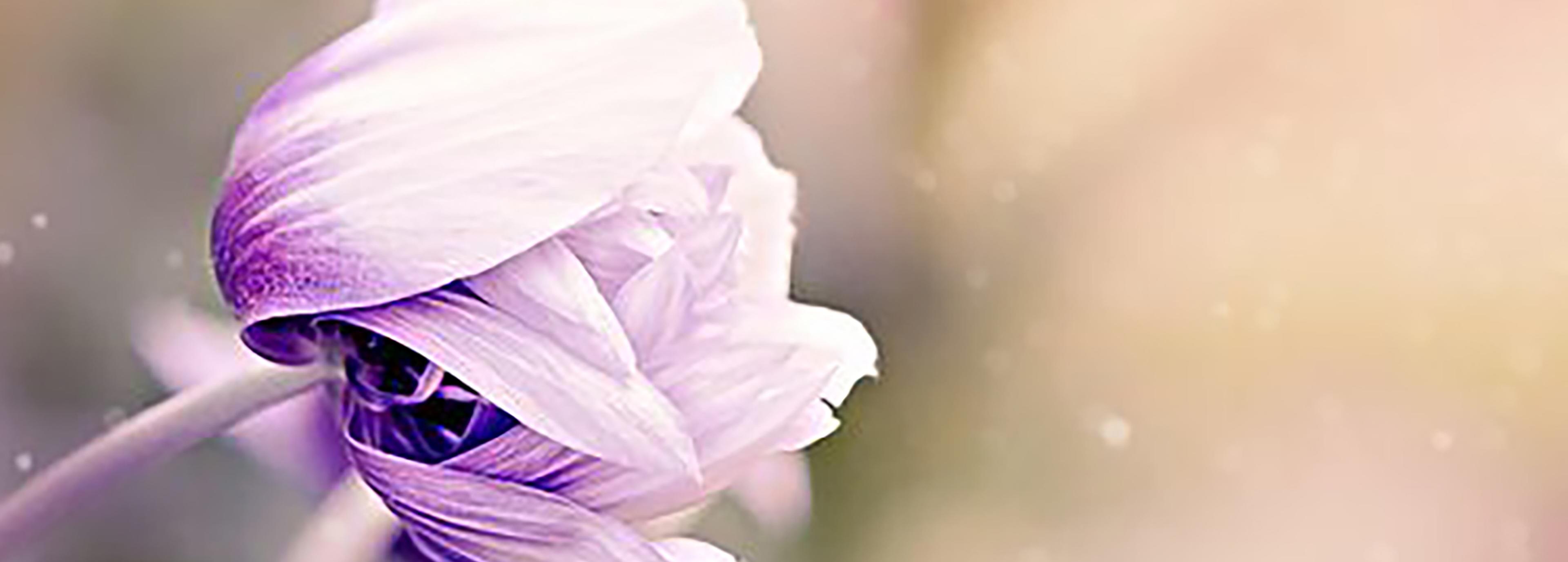 Shop cover image