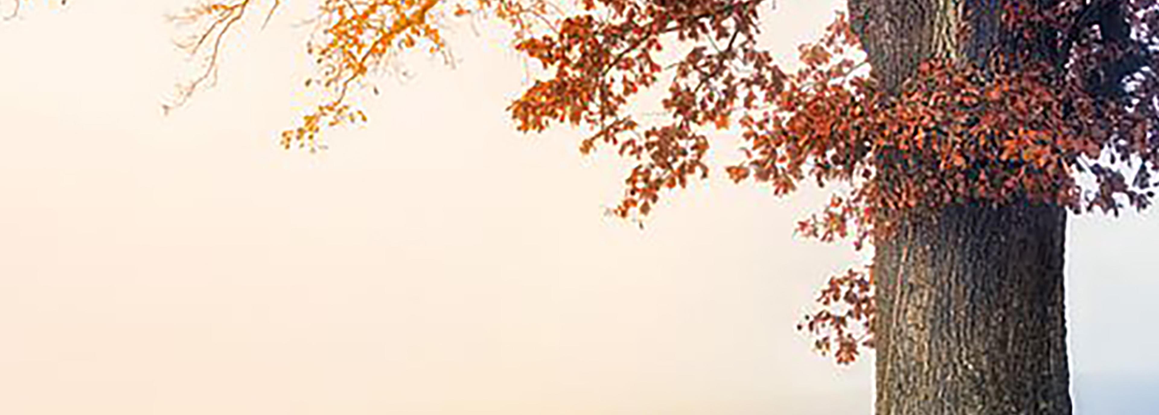 Shop cover image