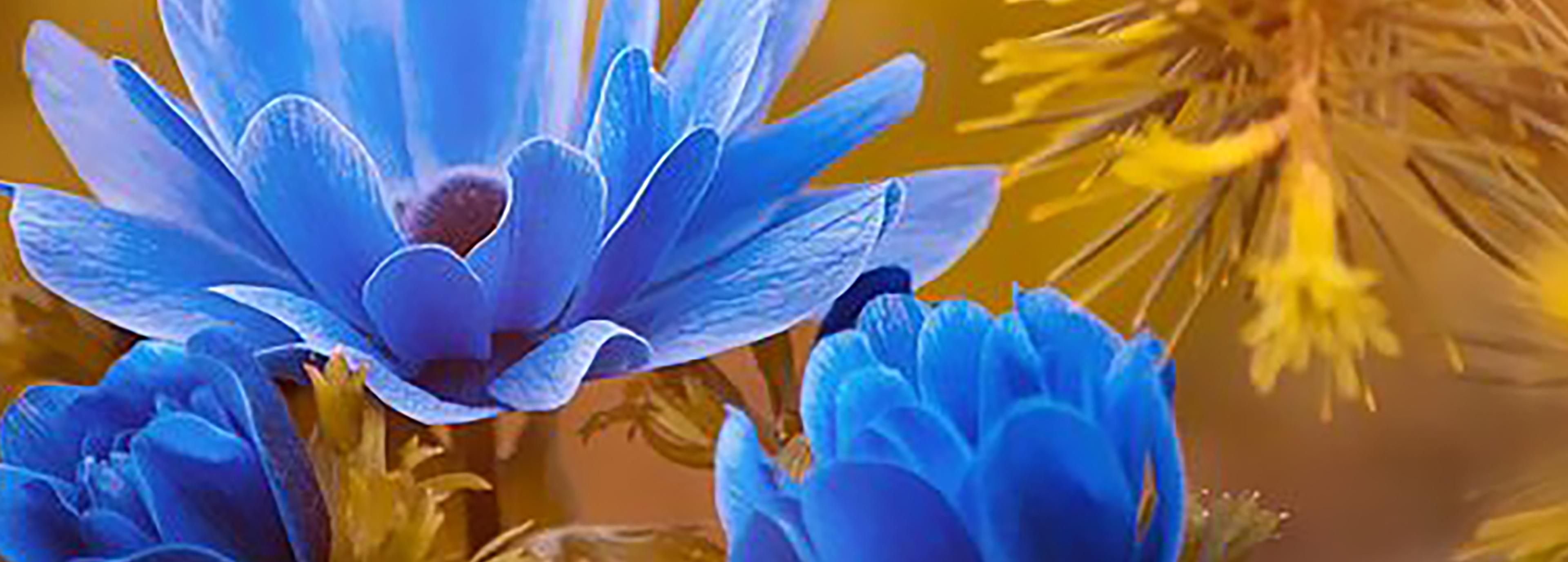 Shop cover image
