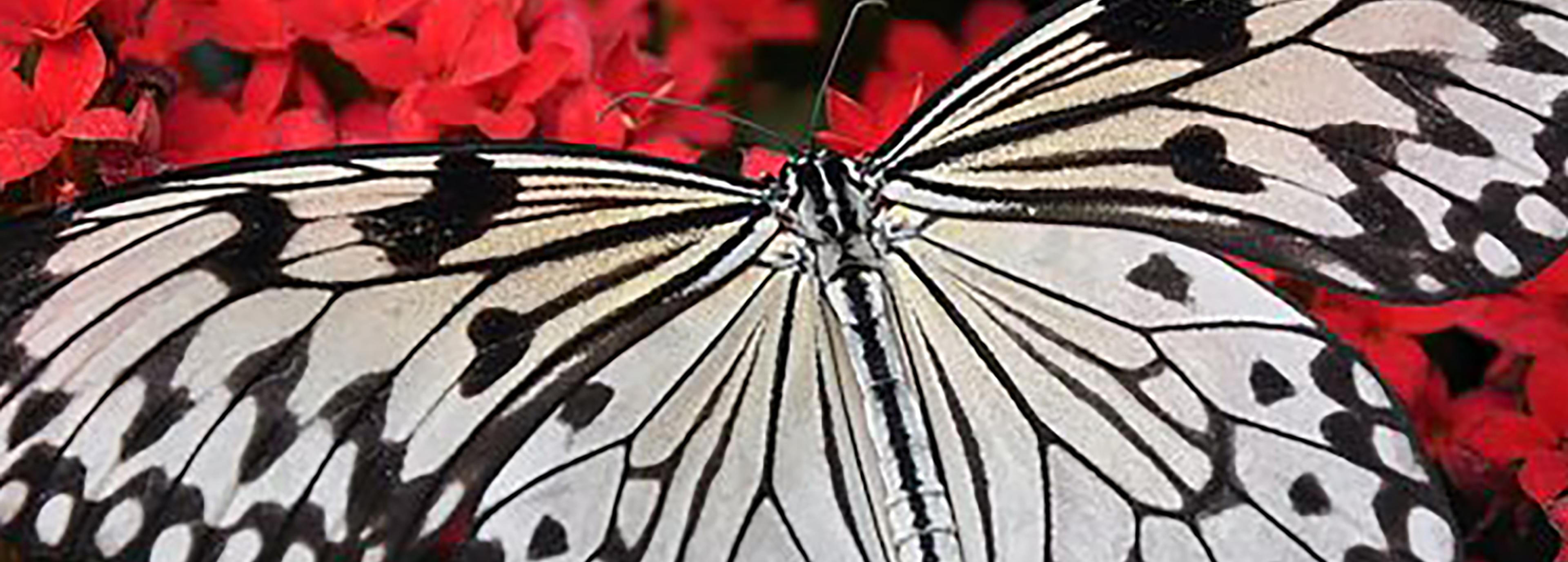 Shop cover image