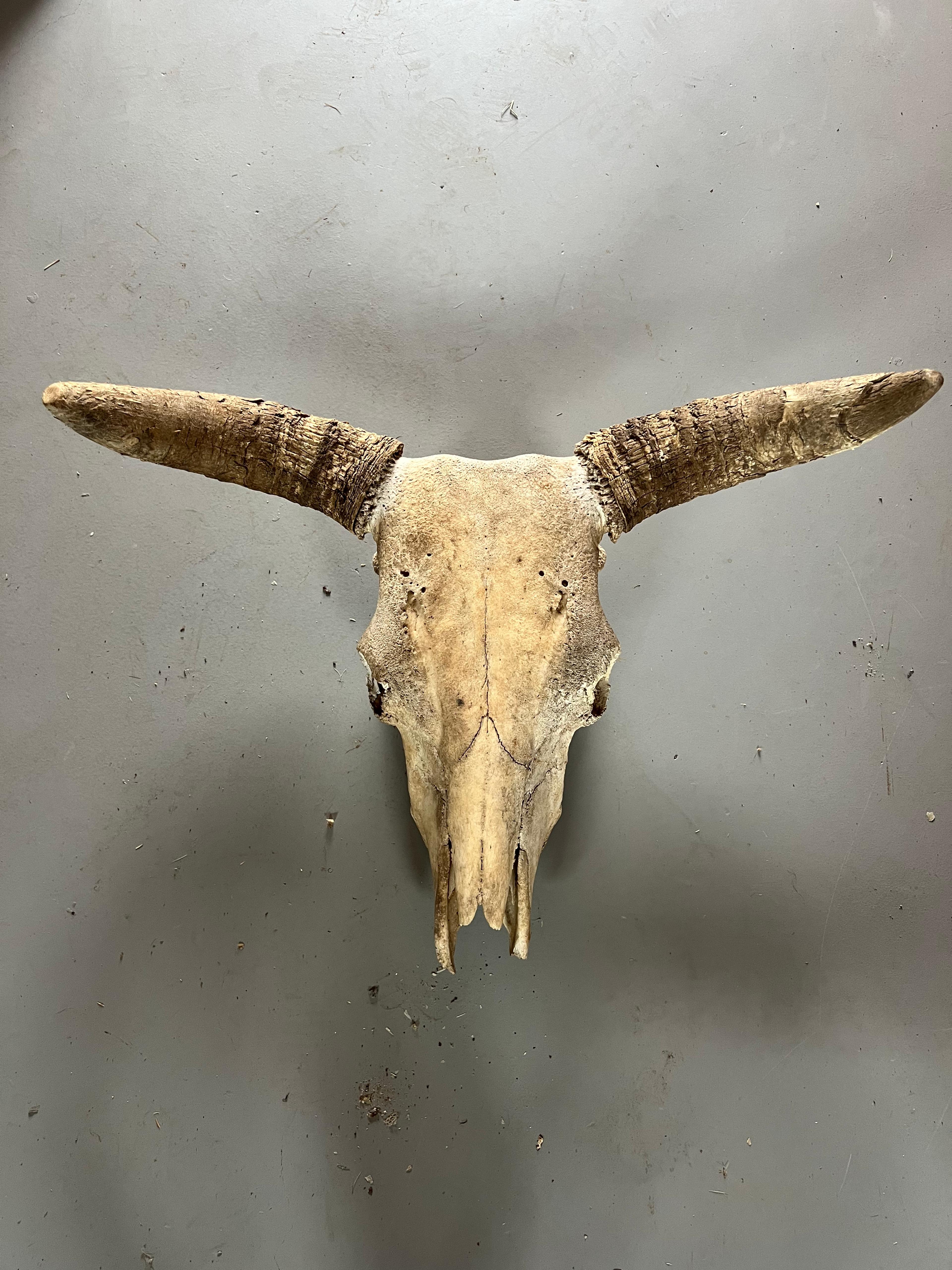 Shop cover image