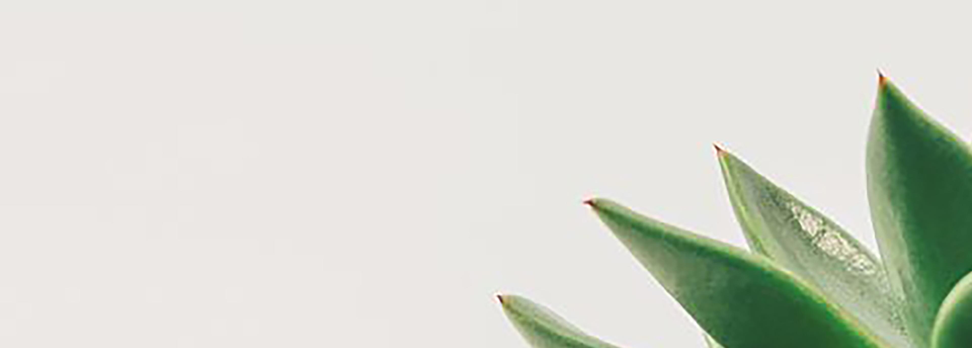 Shop cover image