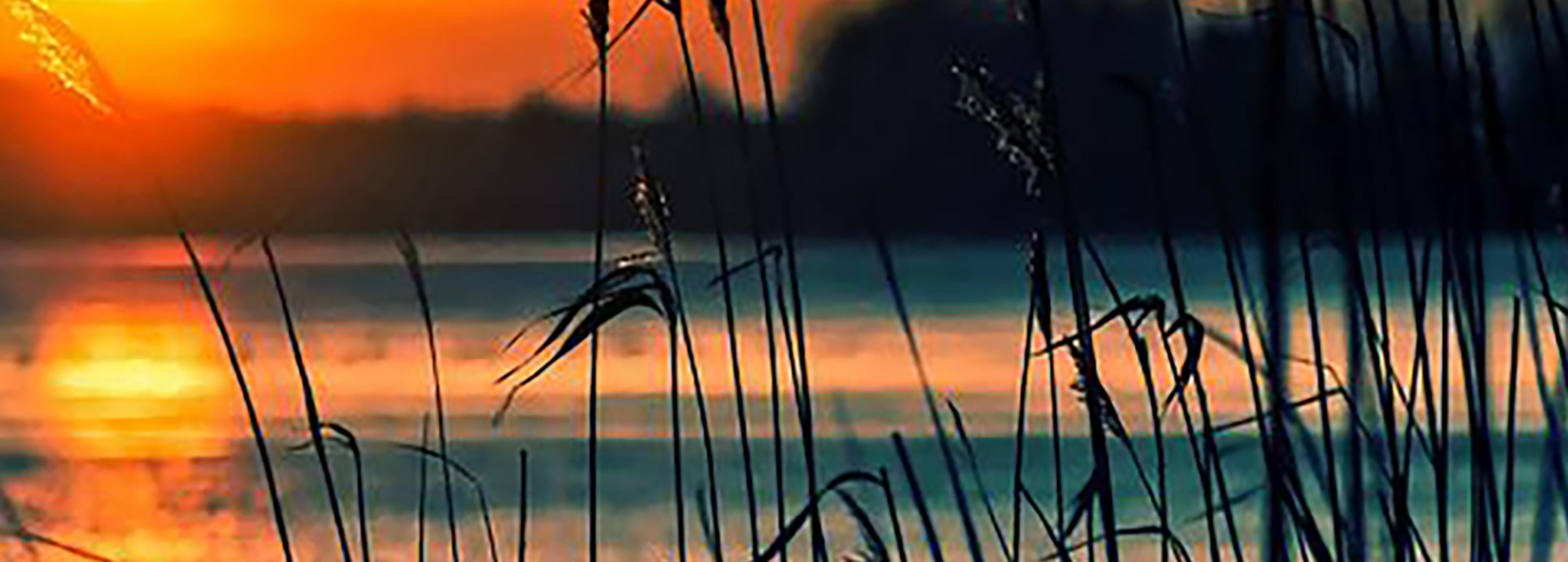 Shop cover image