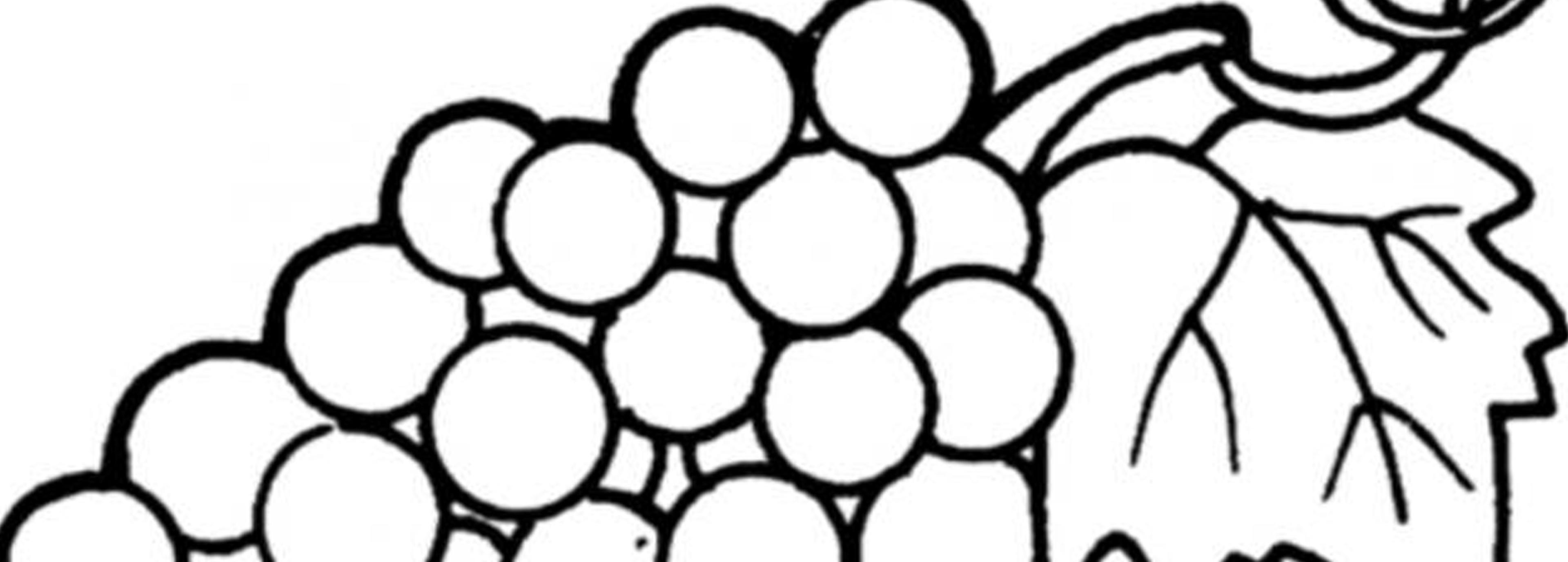 Shop cover image