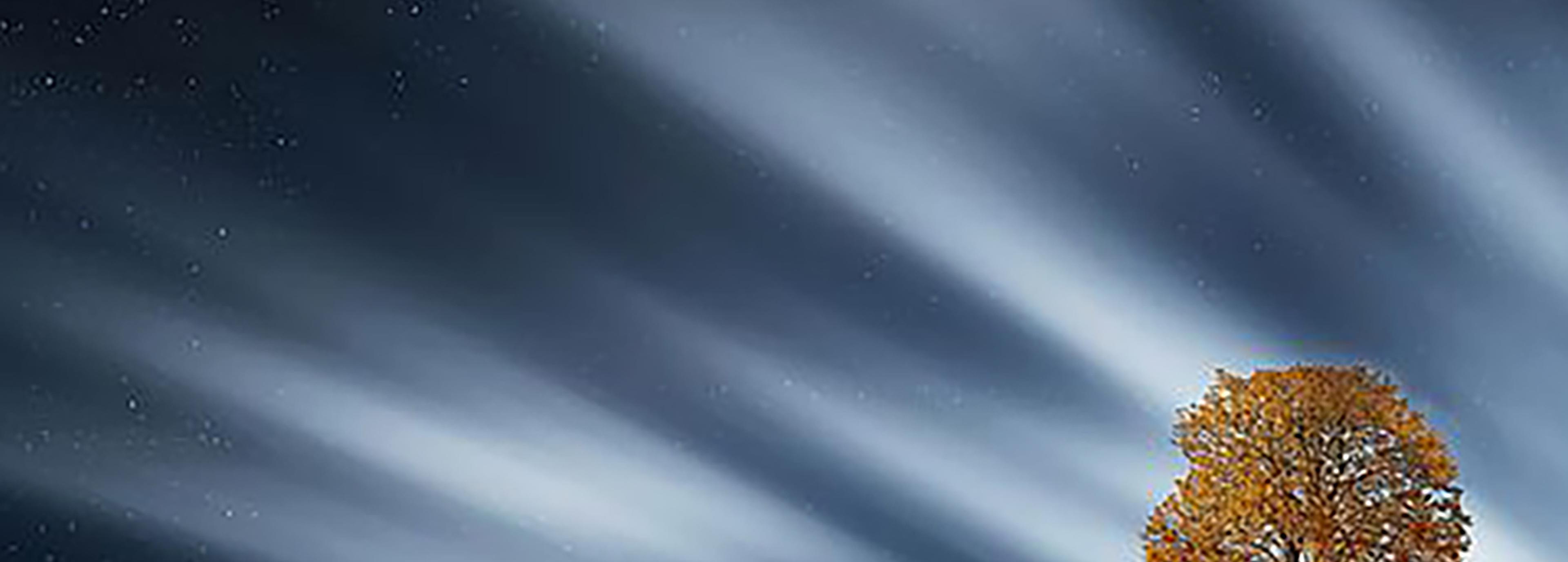 Shop cover image