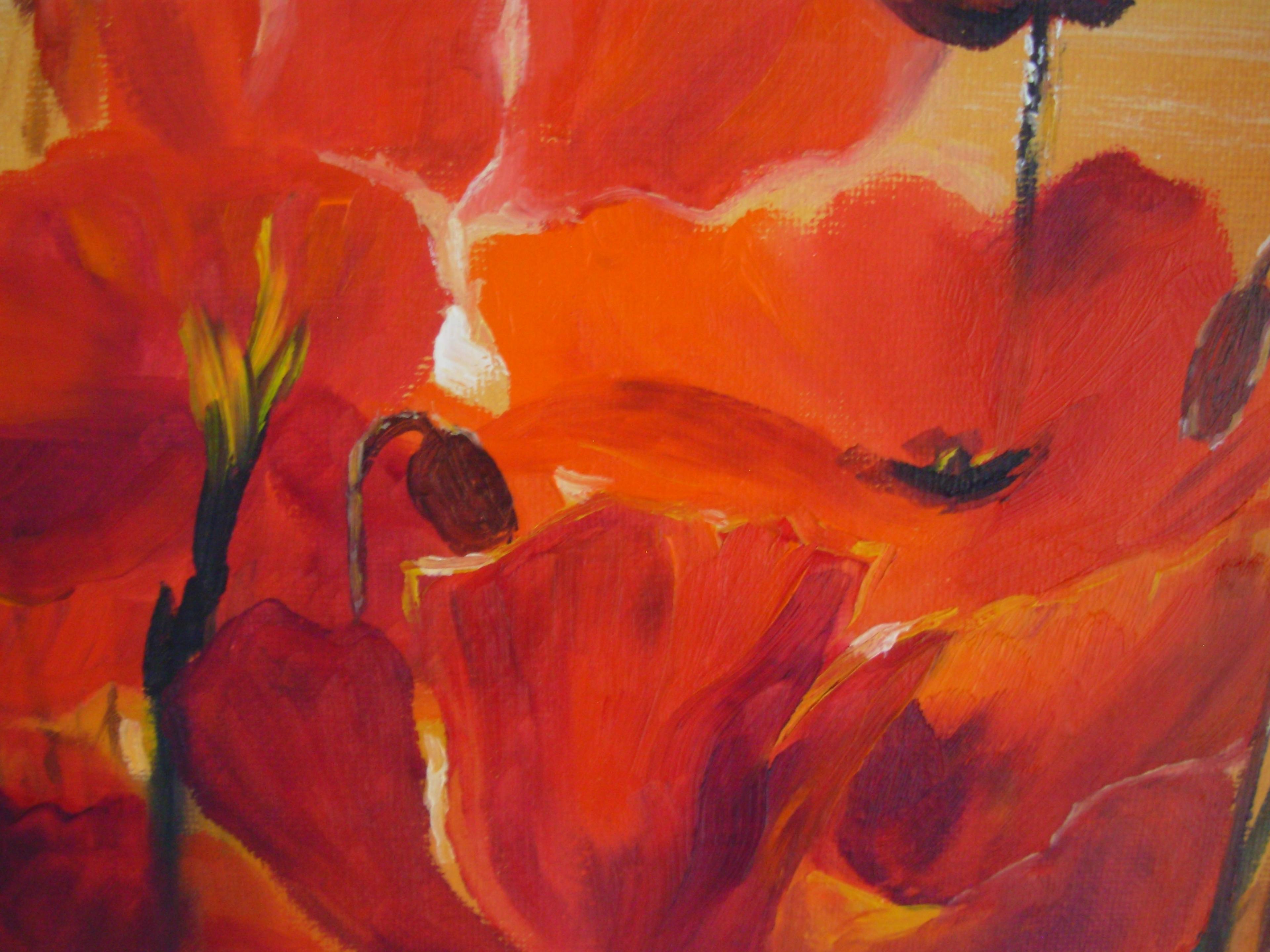 Shop cover image