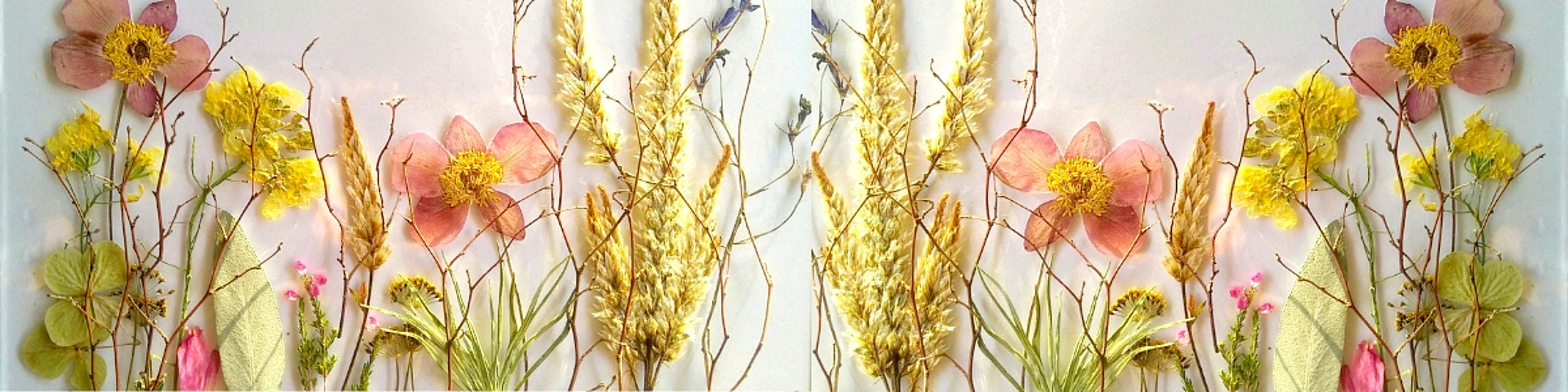 Shop cover image