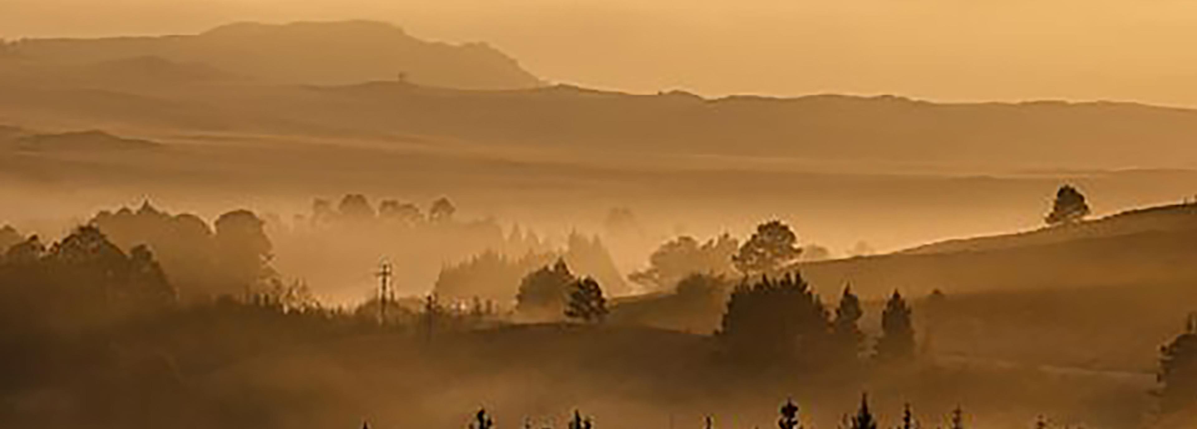 Shop cover image
