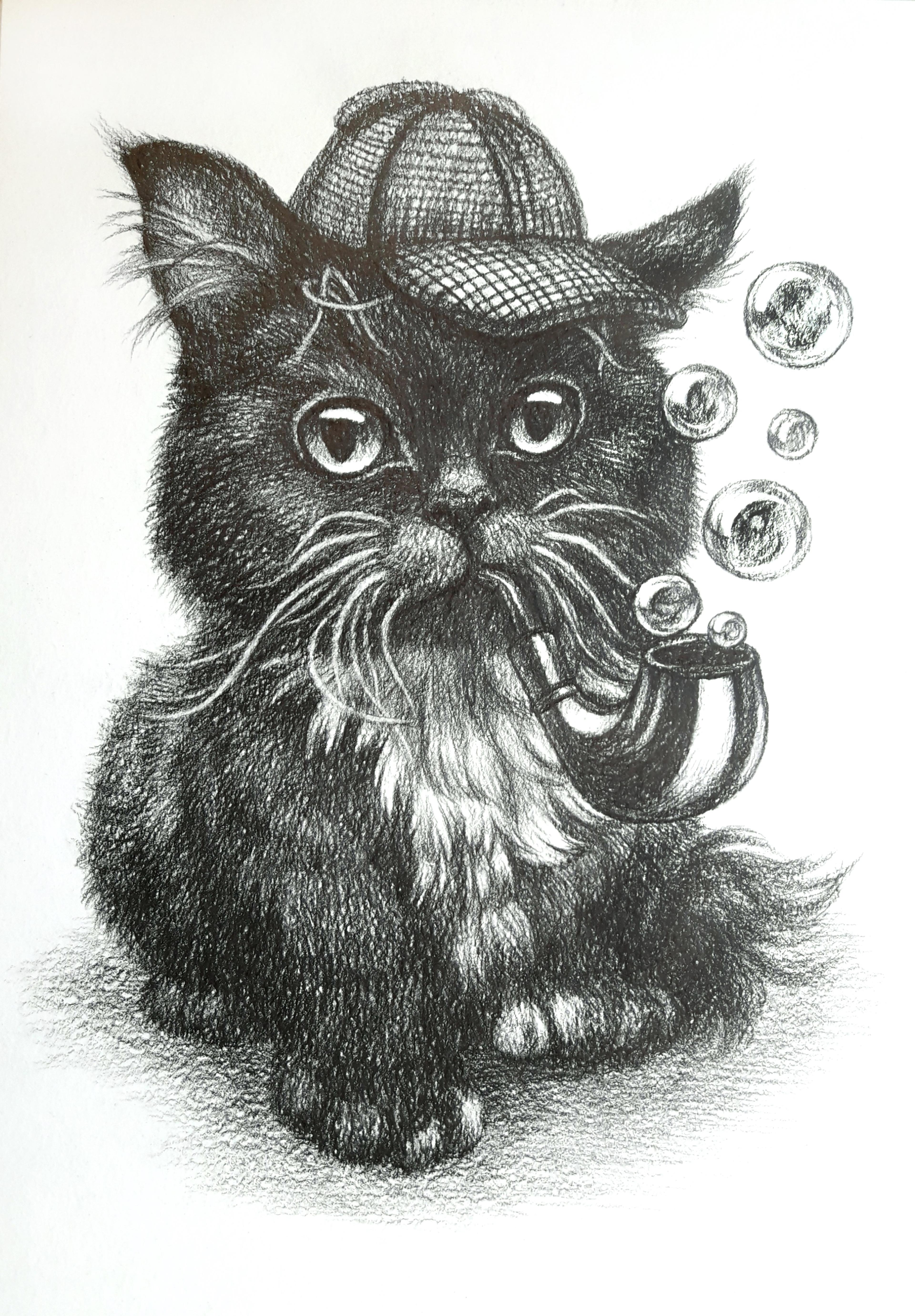 Shop cover image