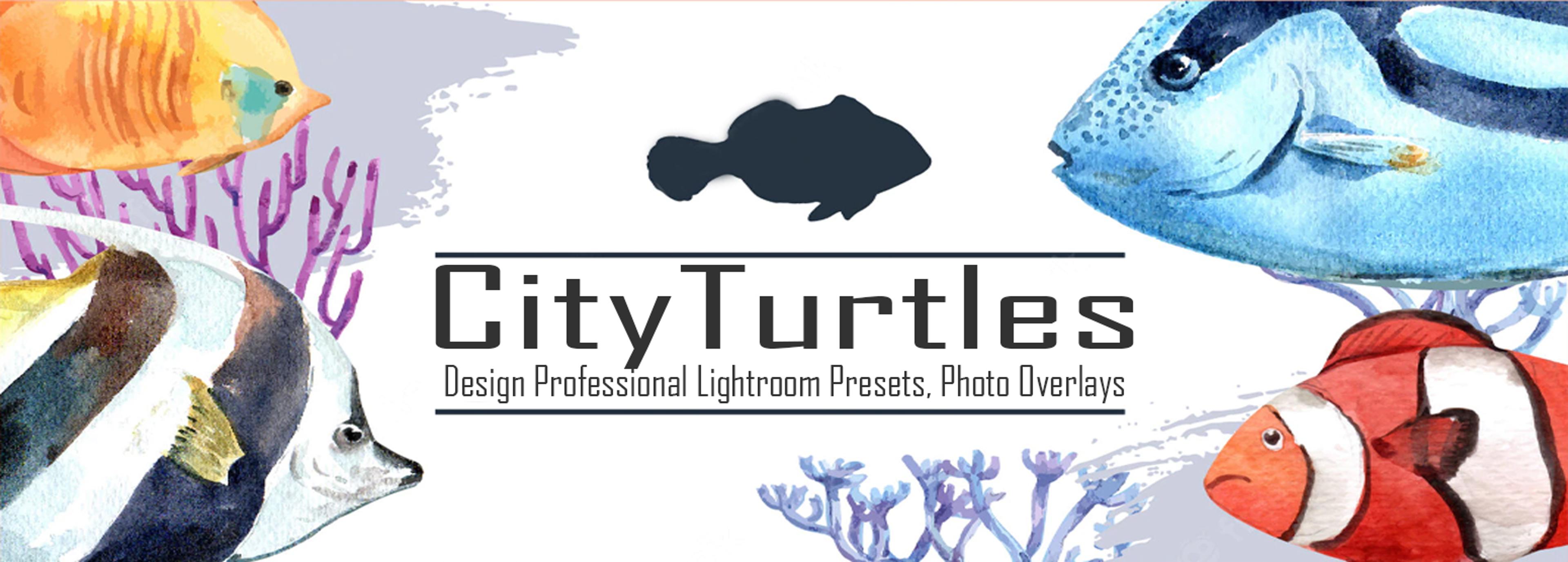 Shop cover image