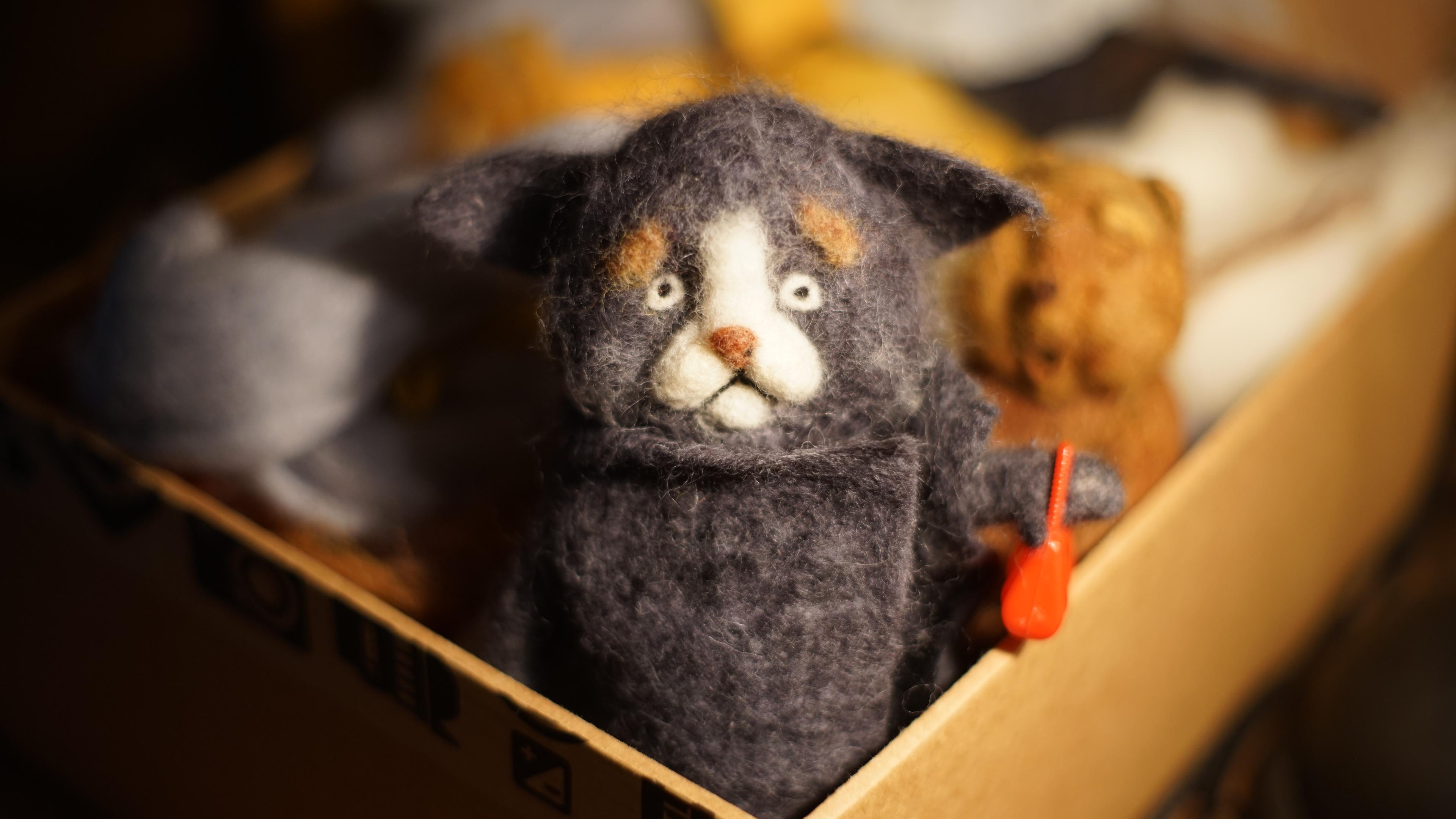 Shop cover image