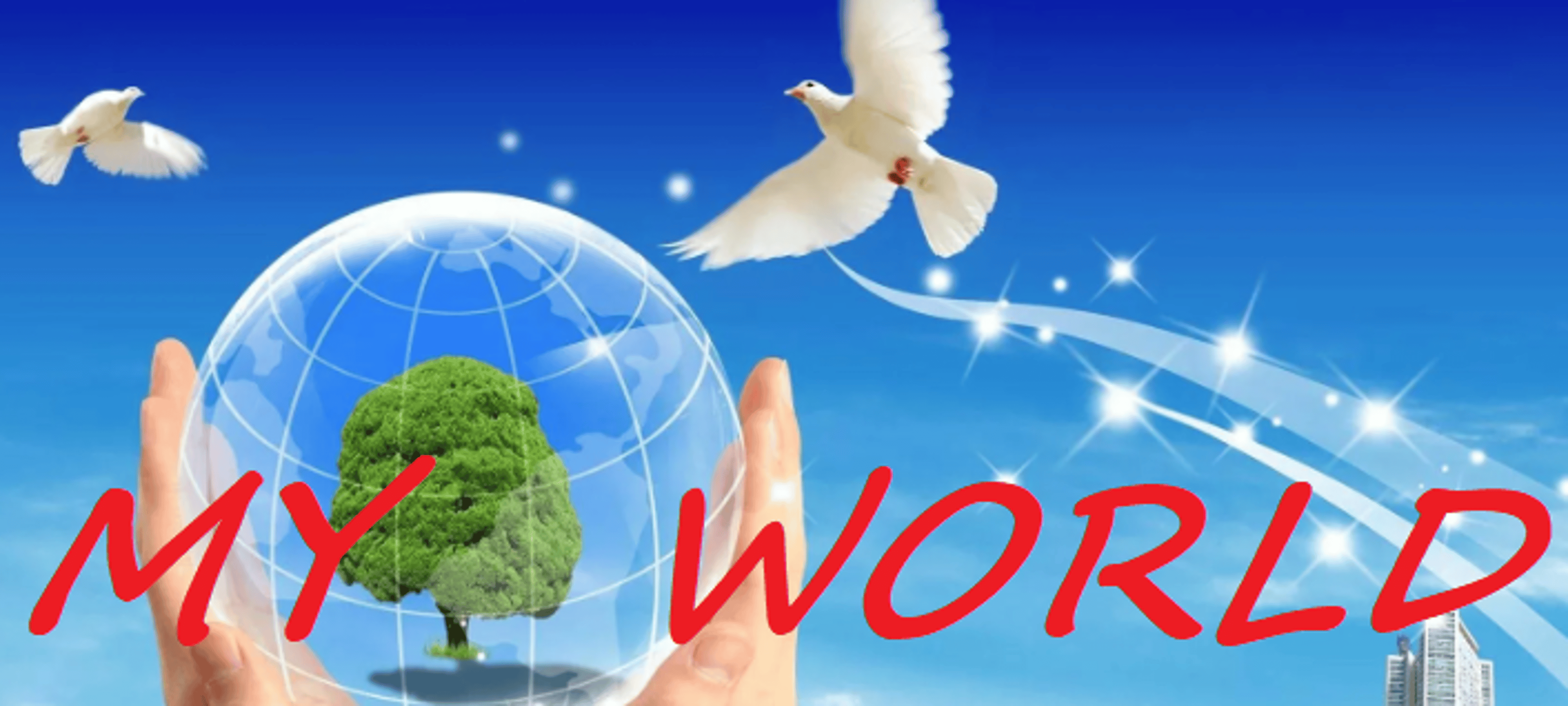 Shop cover image