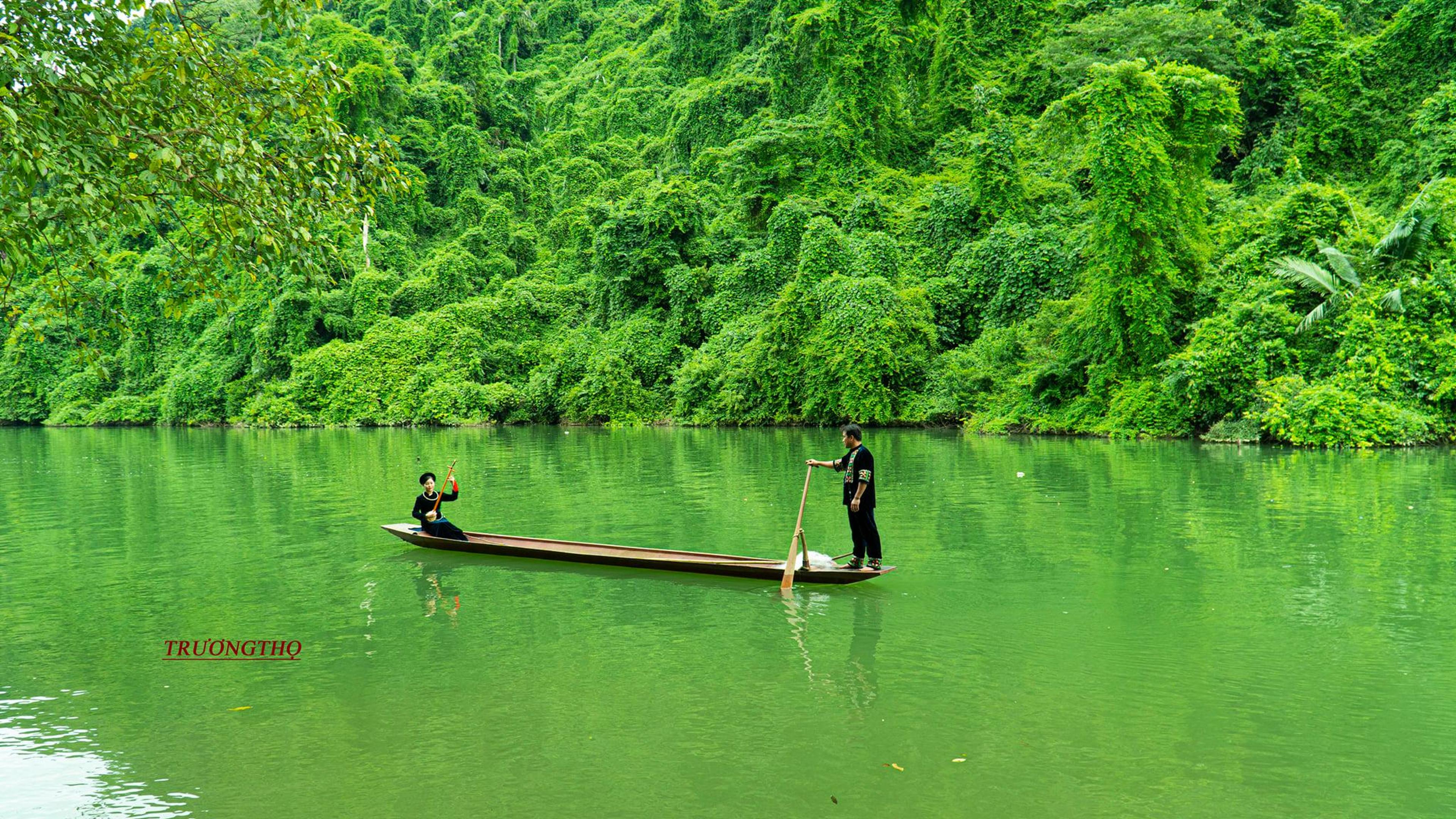 Shop cover image