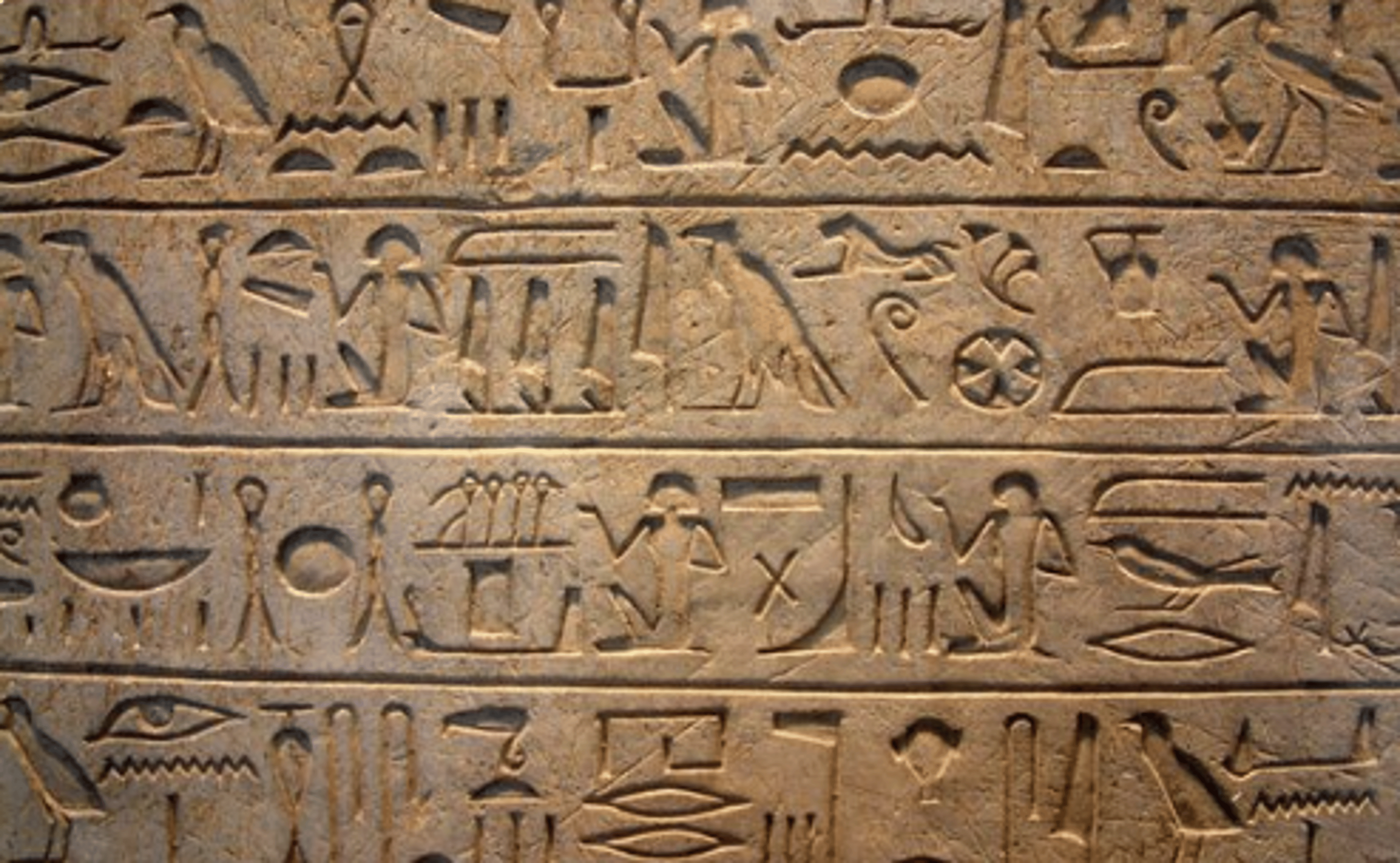 Shop cover image