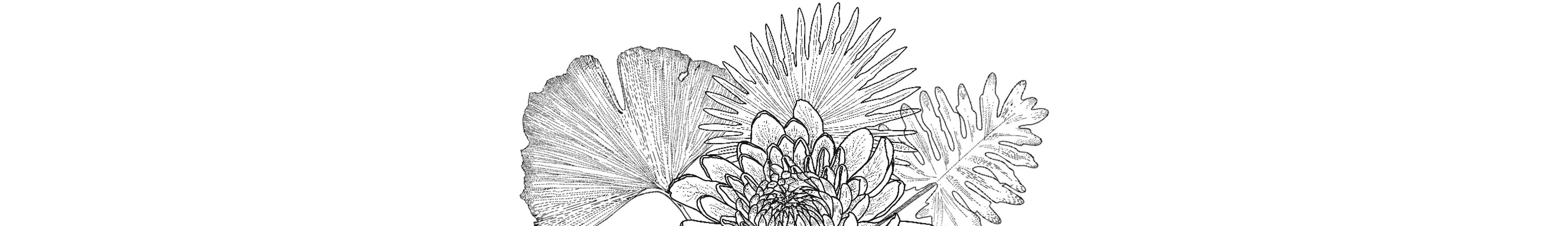 Shop cover image