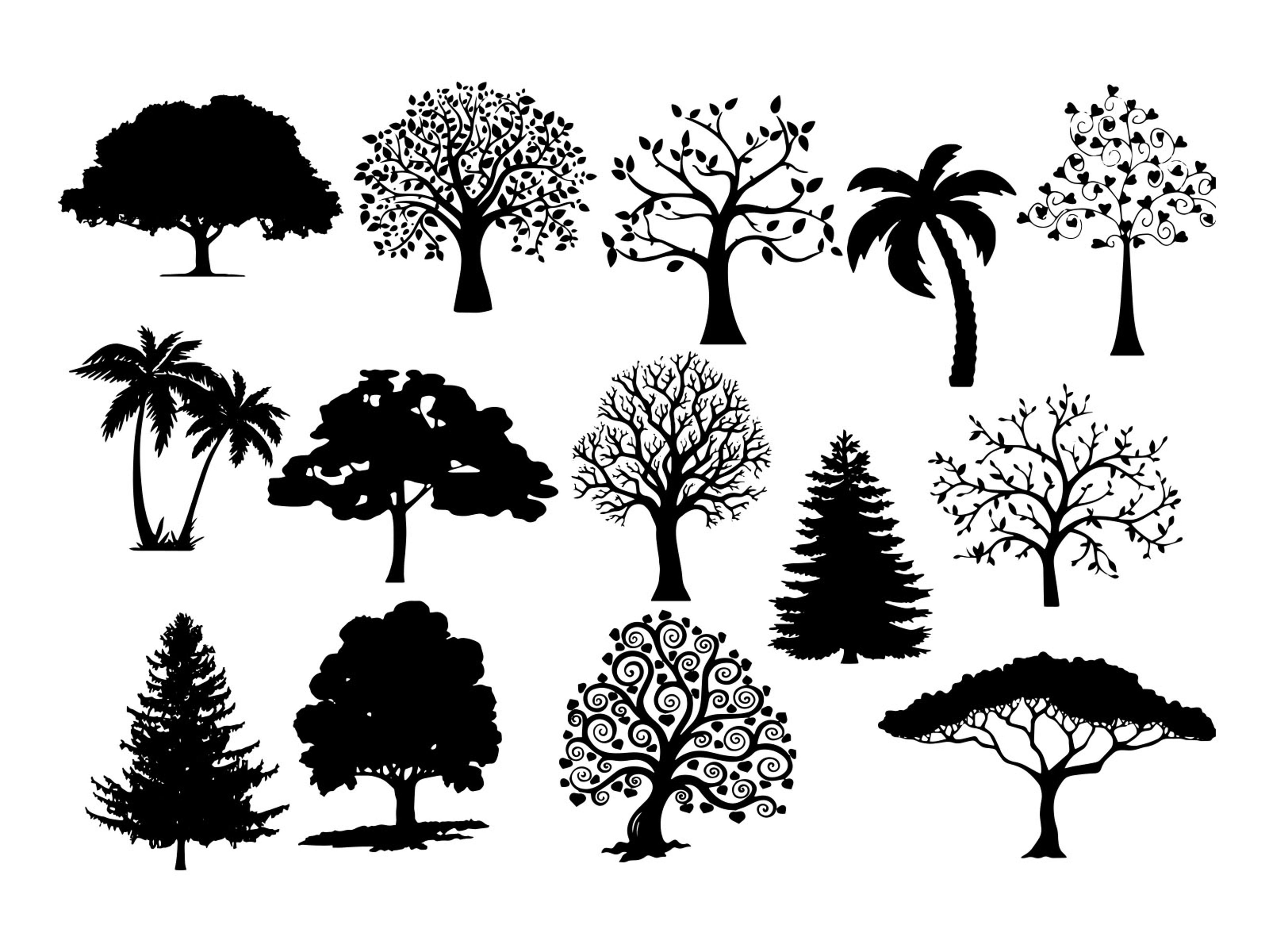 Shop cover image