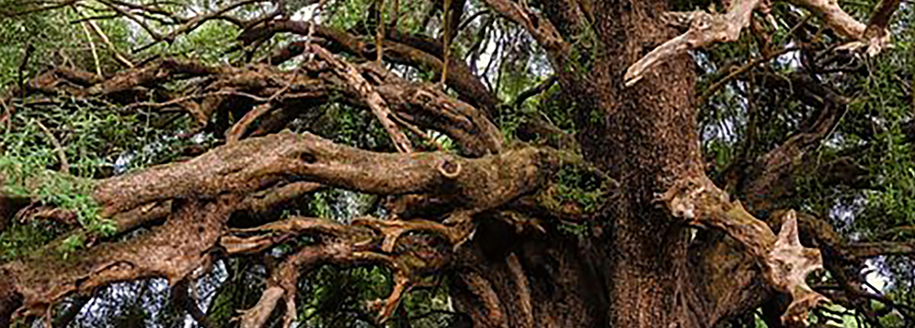 Shop cover image