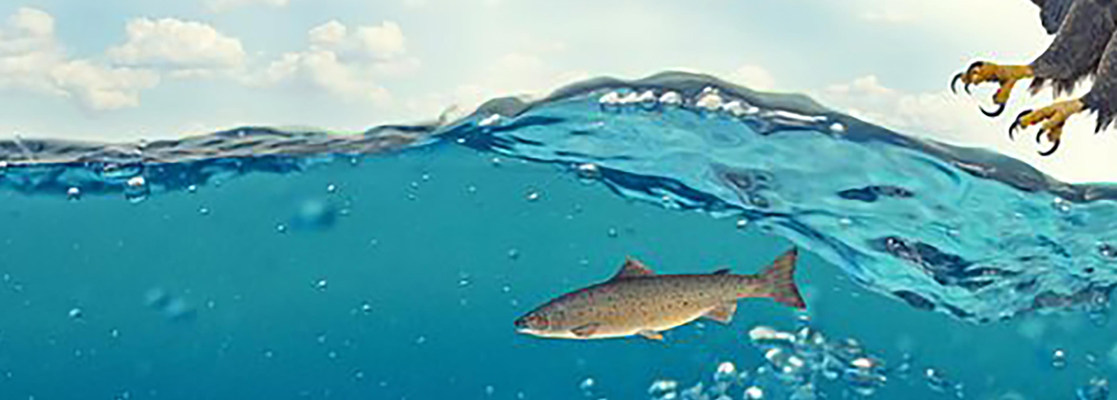 Shop cover image