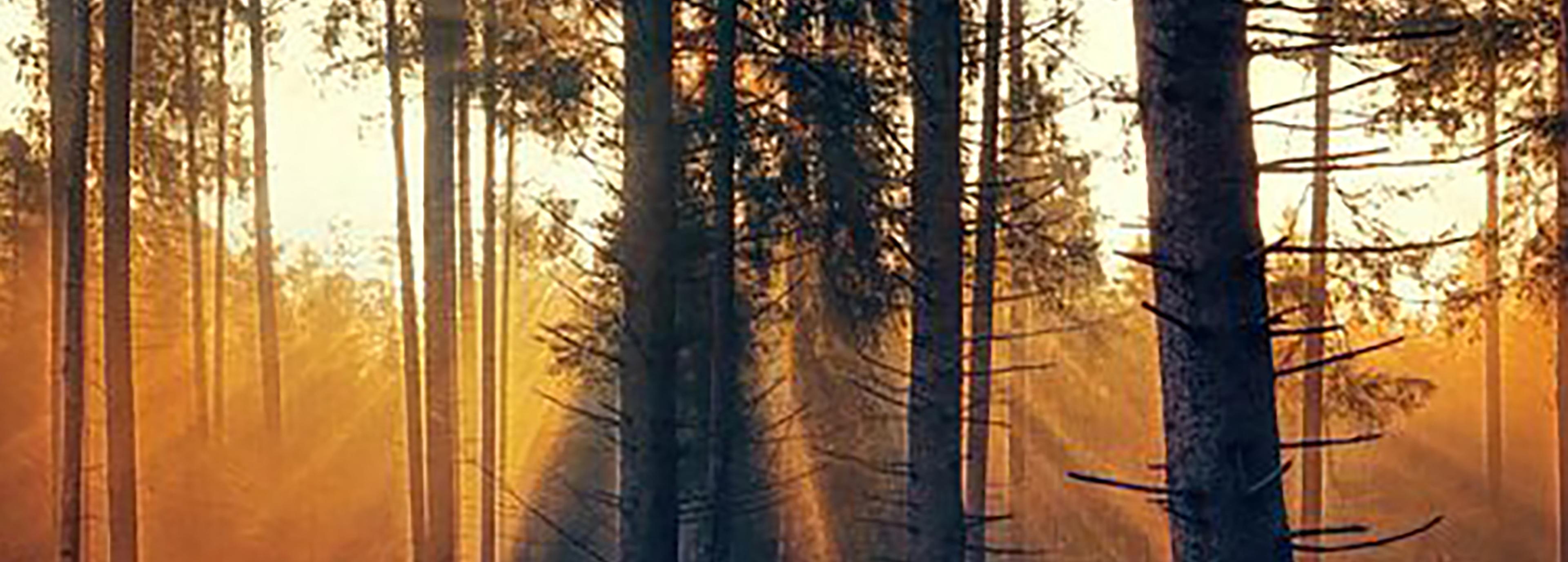 Shop cover image
